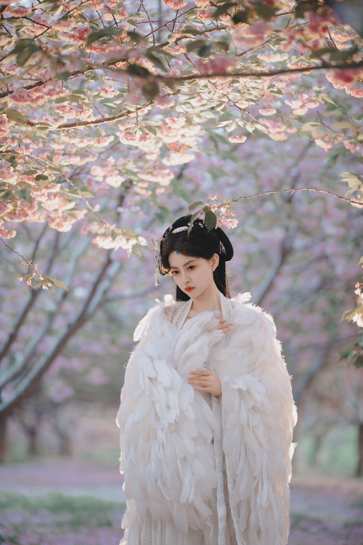 图片[5] - 壹萱- 《白凤》[36P] - 机器猫次元 - 机器猫次元