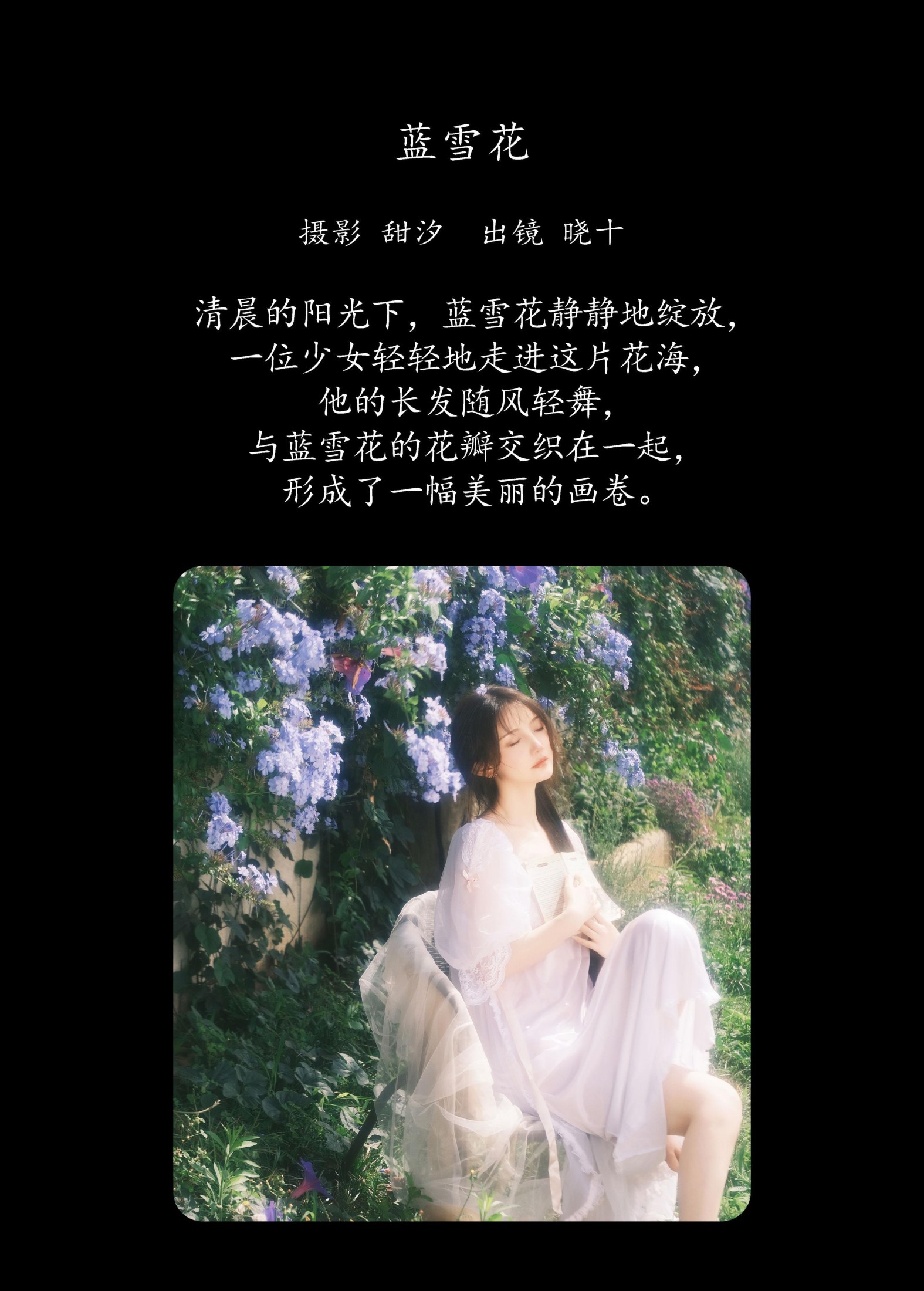 图片[2] - 爱拍照的晓十 - 《蓝雪花》[20P] - 机器猫次元 - 机器猫次元