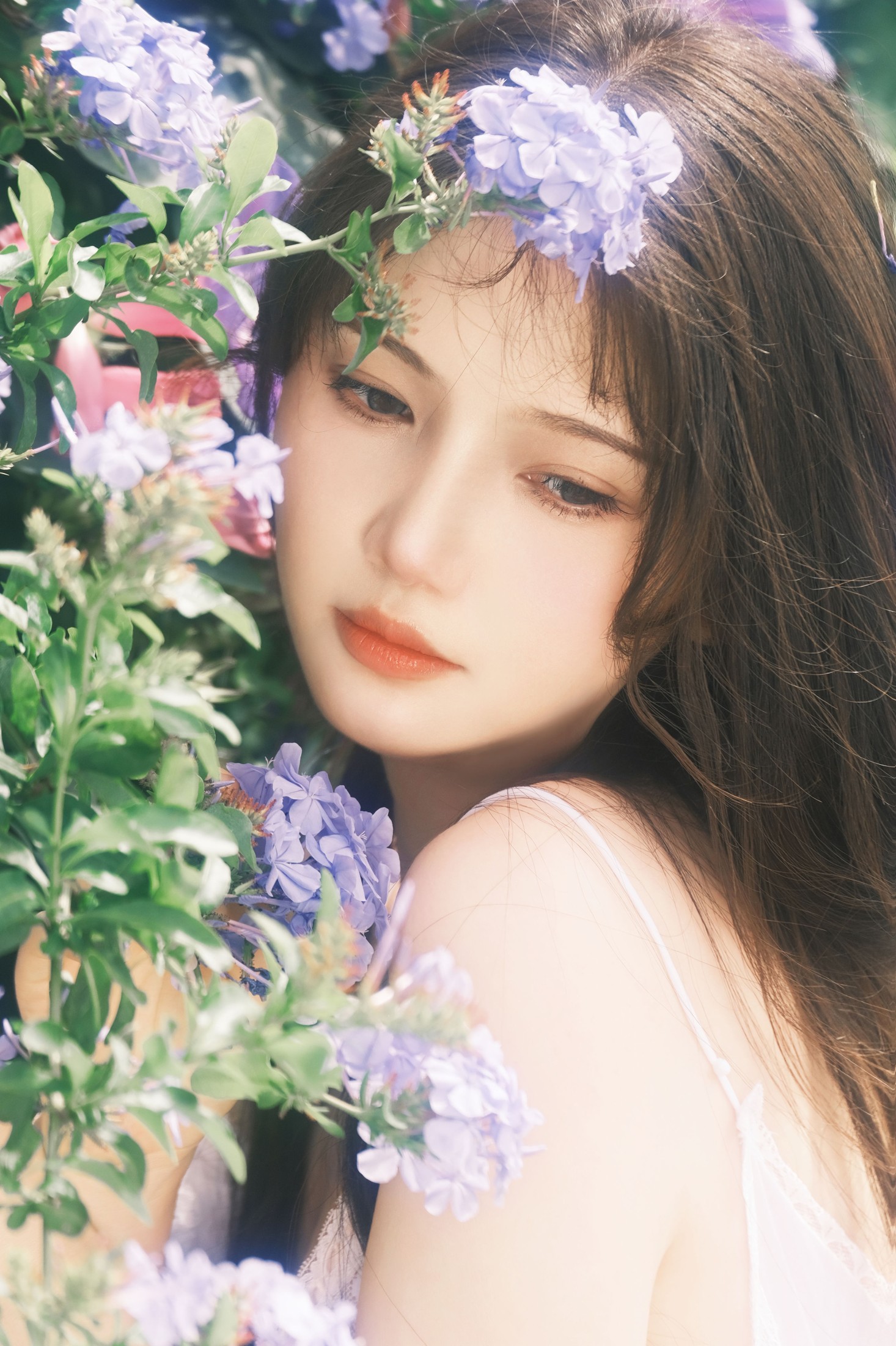 图片[5] - 爱拍照的晓十 - 《蓝雪花》[20P] - 机器猫次元 - 机器猫次元