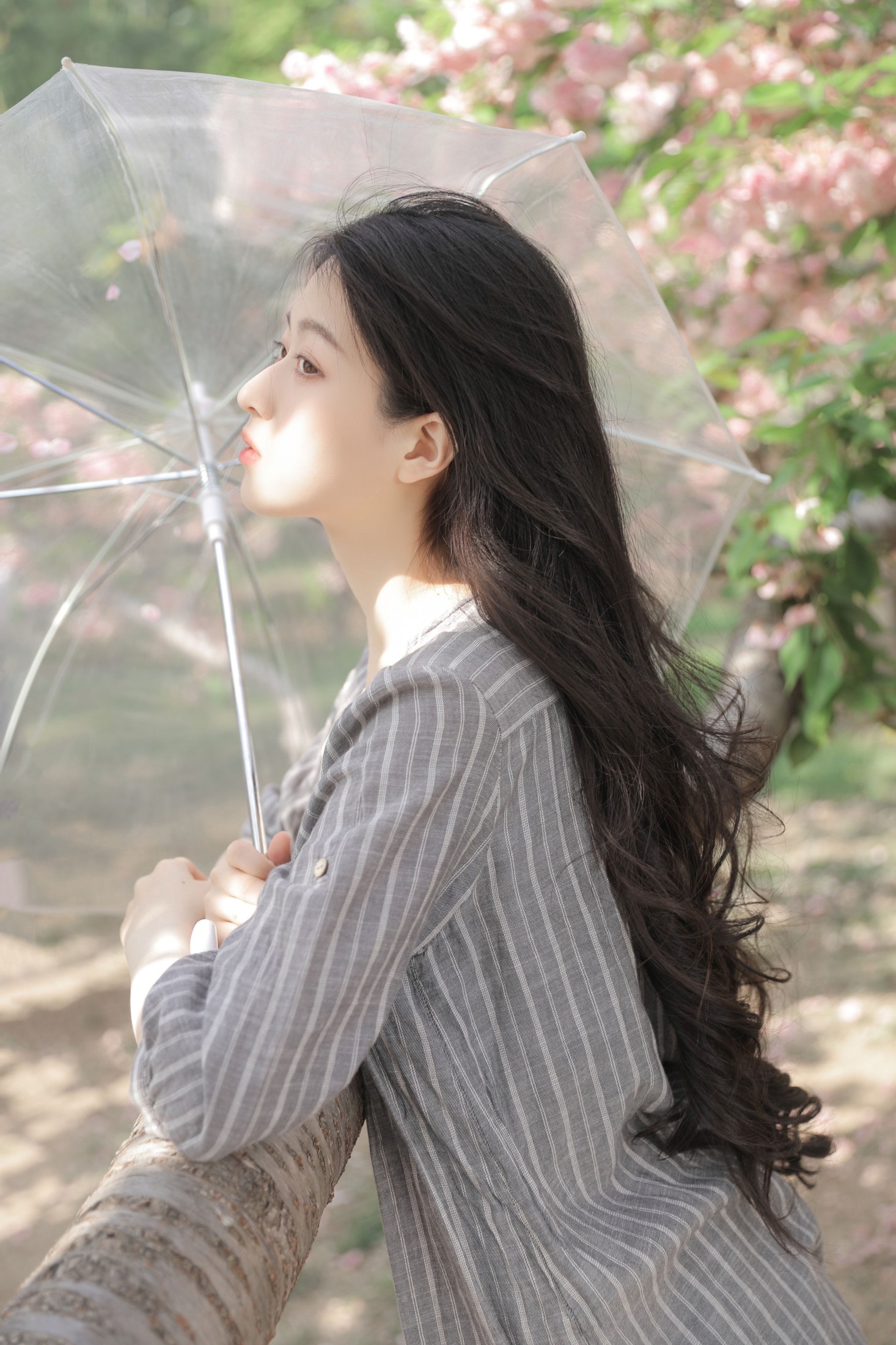 图片[6] - 徐嘉悦 - 《落花有时》[24P] - 机器猫次元 - 机器猫次元