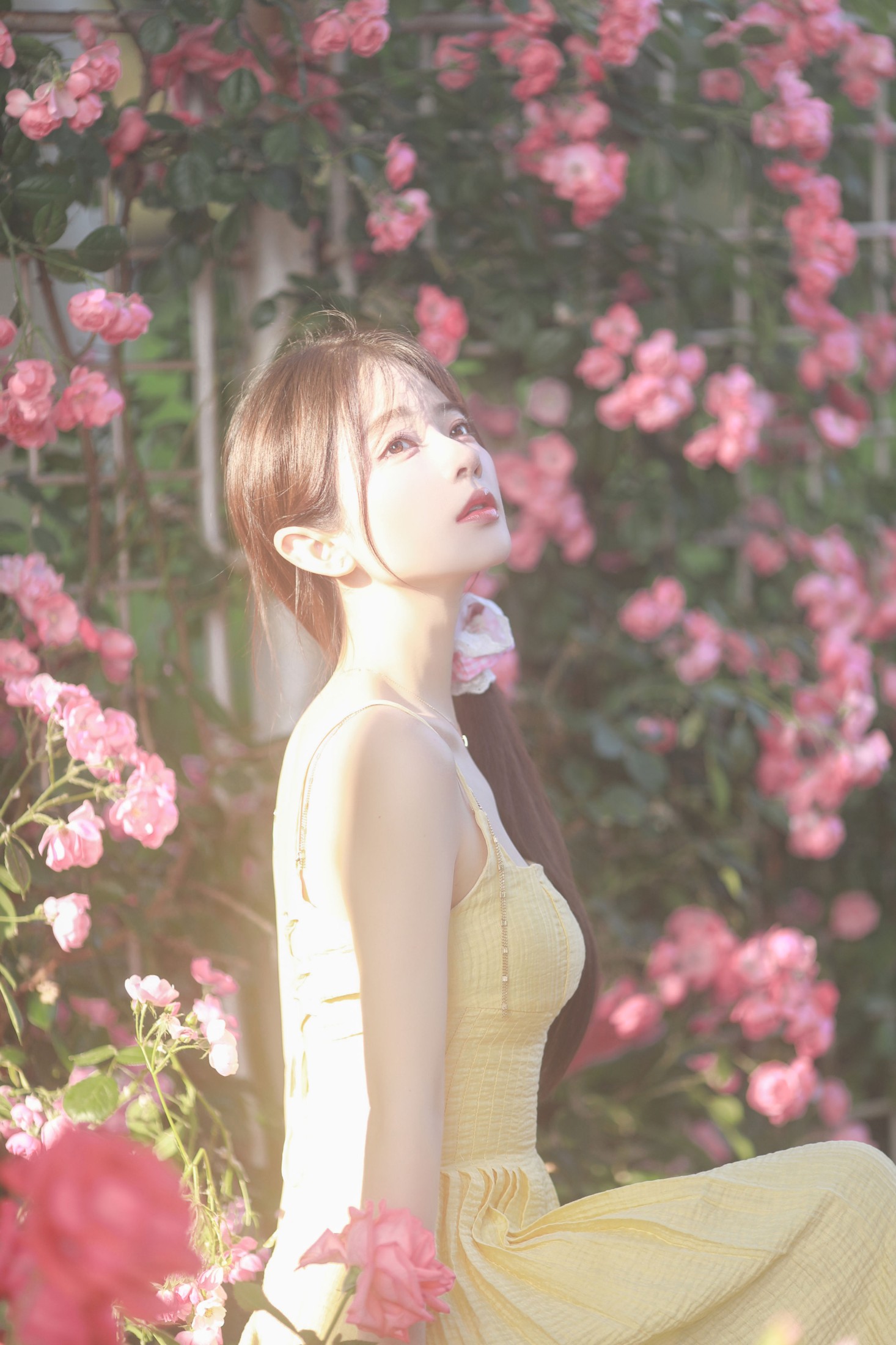 图片[5] - 杨伊墨 - 《莫奈花园》[35P] - 机器猫次元 - 机器猫次元