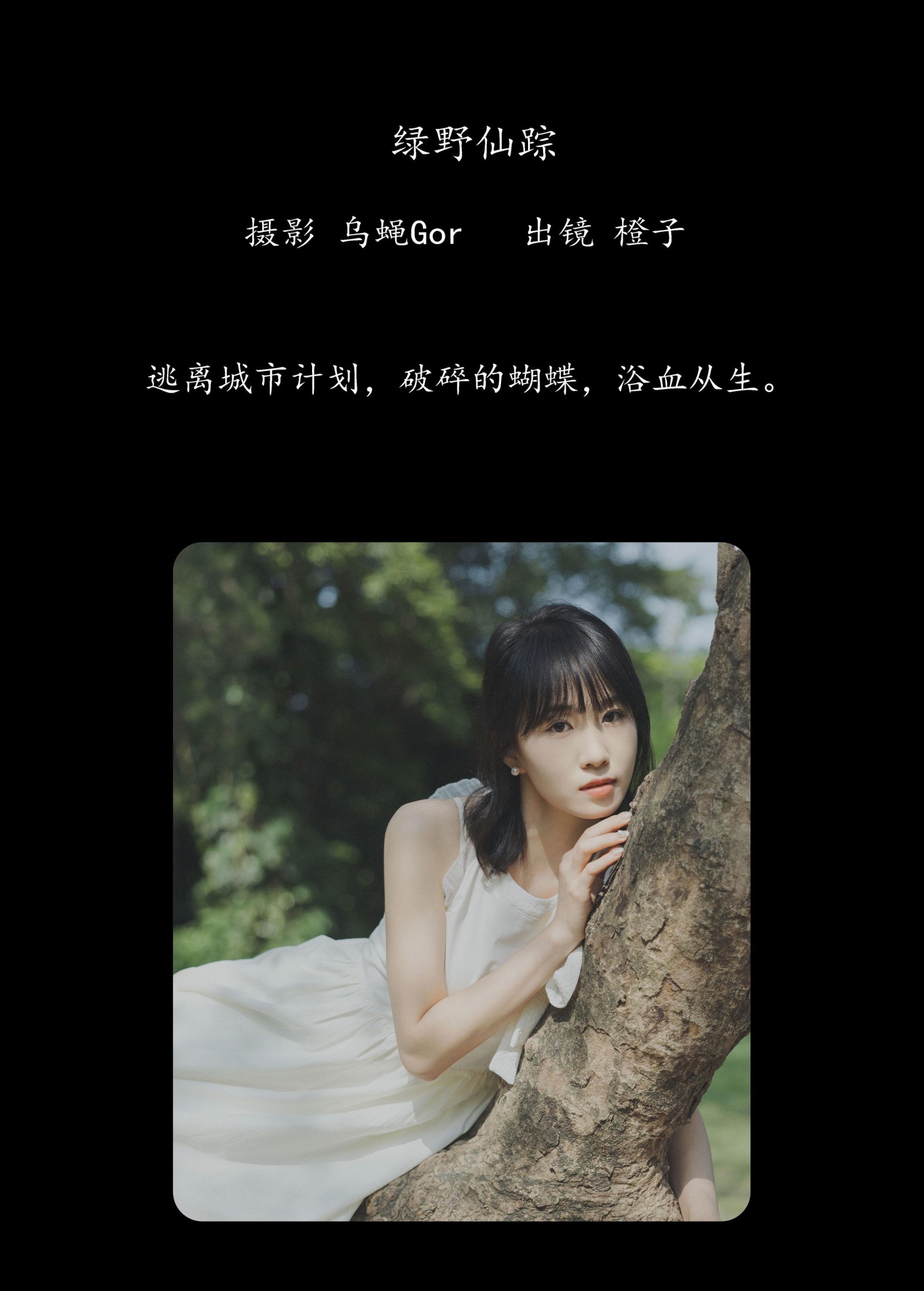 图片[2] - 橙子 - 《绿野仙踪》[26P] - 机器猫次元 - 机器猫次元