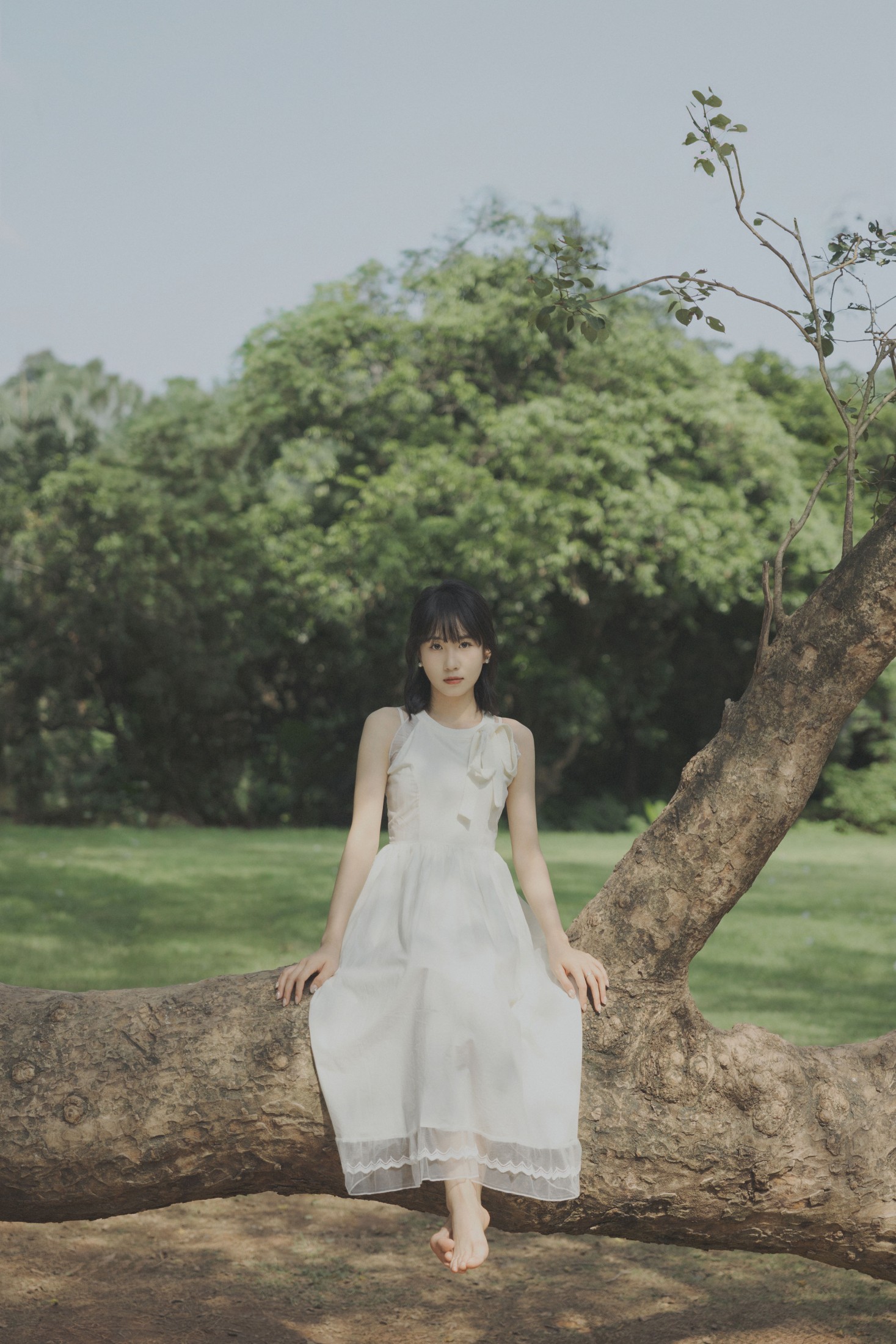 图片[7] - 橙子 - 《绿野仙踪》[26P] - 机器猫次元 - 机器猫次元