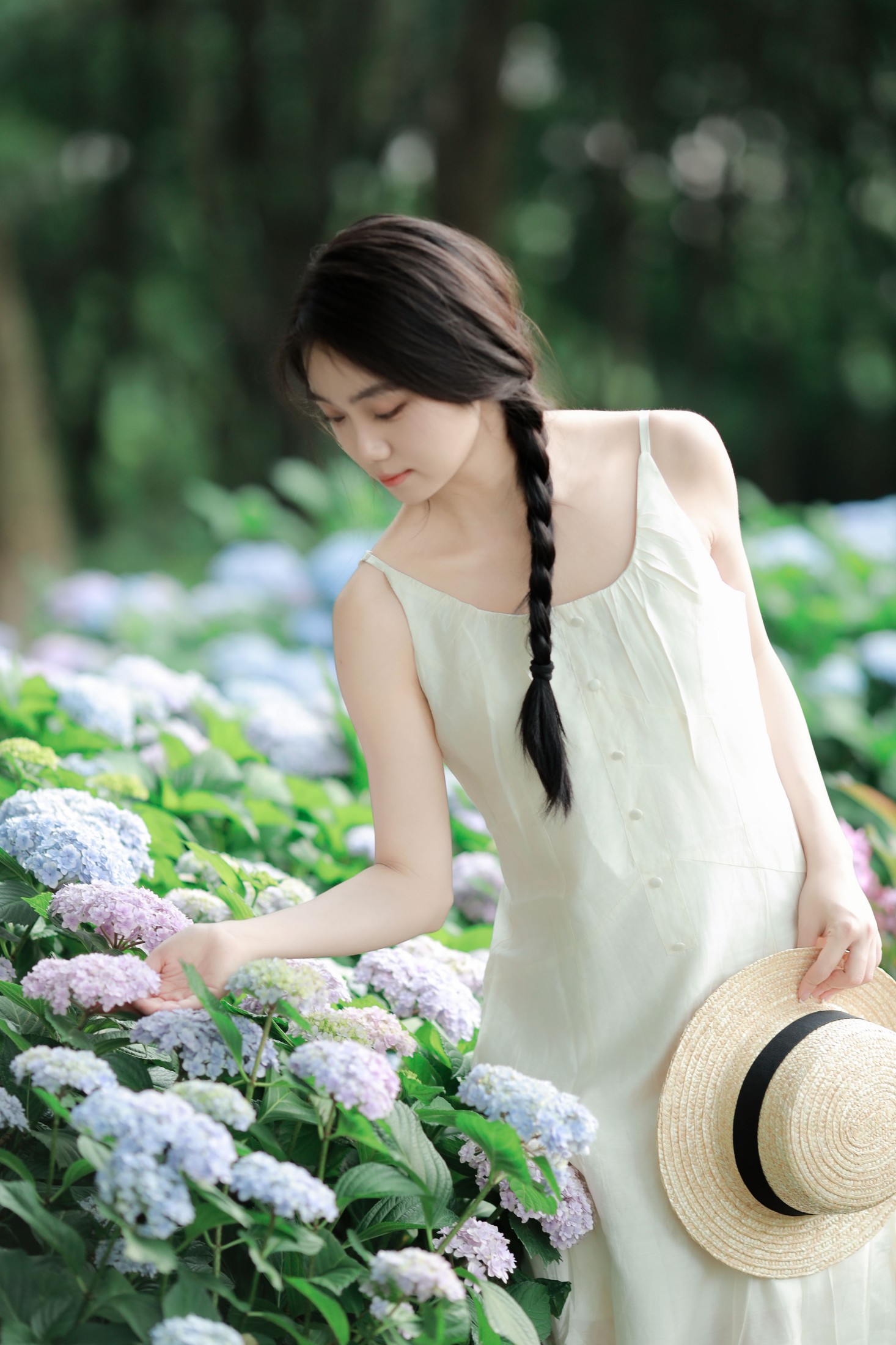 图片[8] - 我不刷鸟 - 《绣球花的春天》[21P] - 机器猫次元 - 机器猫次元