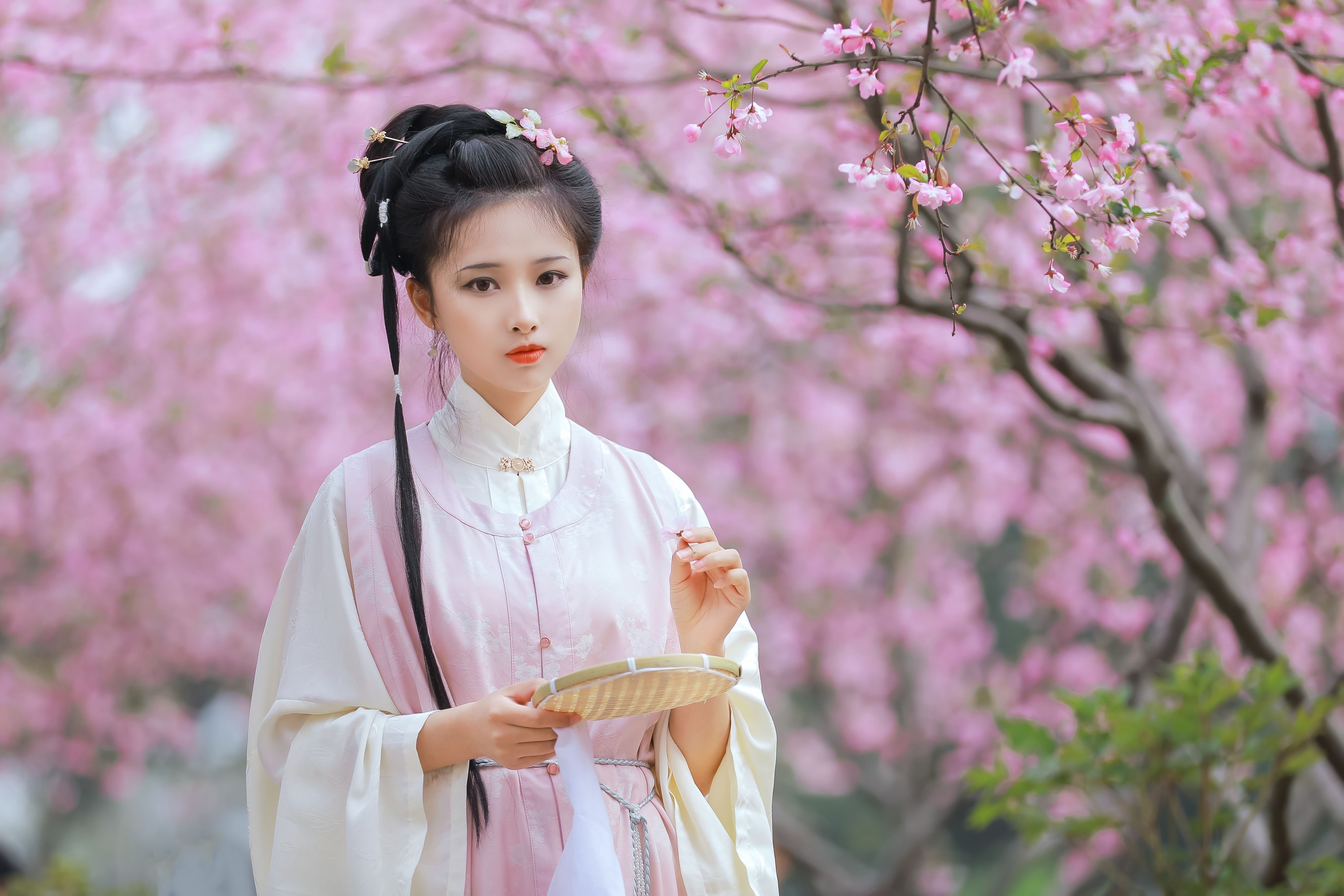 图片[7] - 酒酿圆子 - 《葬花吟》[25P] - 机器猫次元 - 机器猫次元