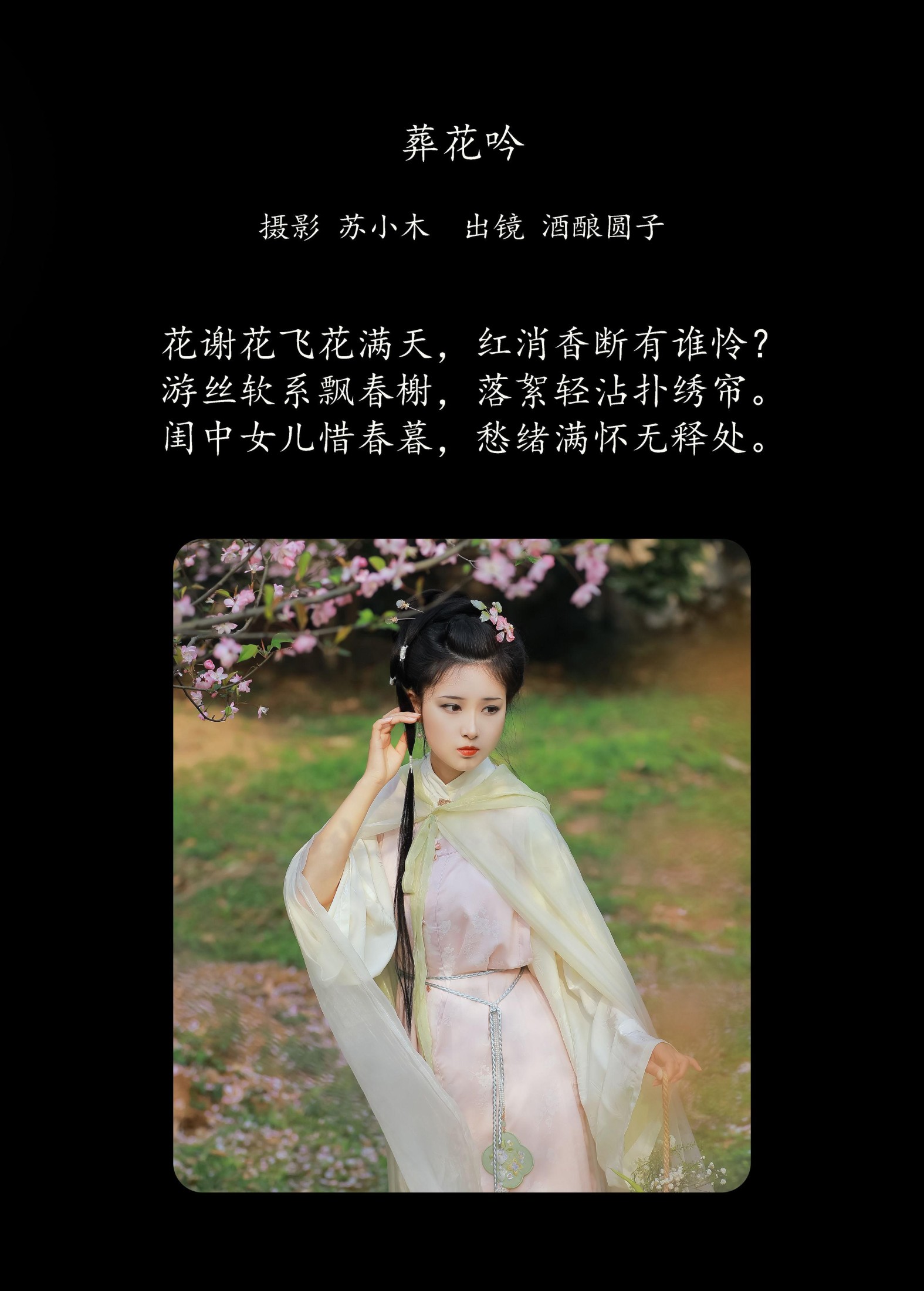 图片[2] - 酒酿圆子 - 《葬花吟》[25P] - 机器猫次元 - 机器猫次元