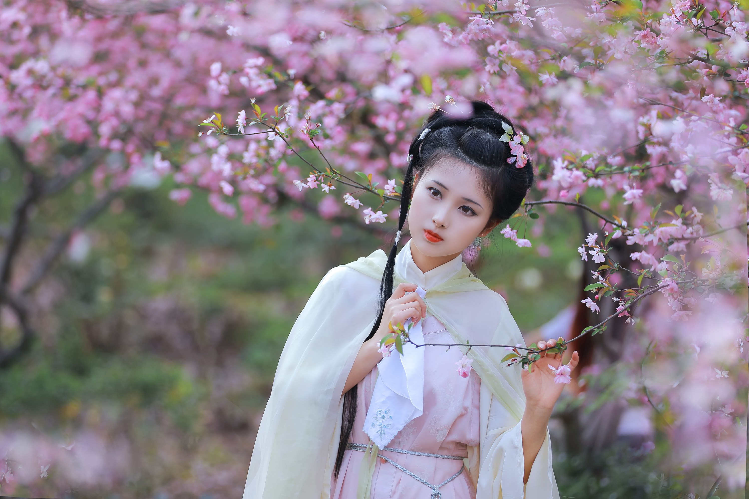 图片[4] - 酒酿圆子 - 《葬花吟》[25P] - 机器猫次元 - 机器猫次元