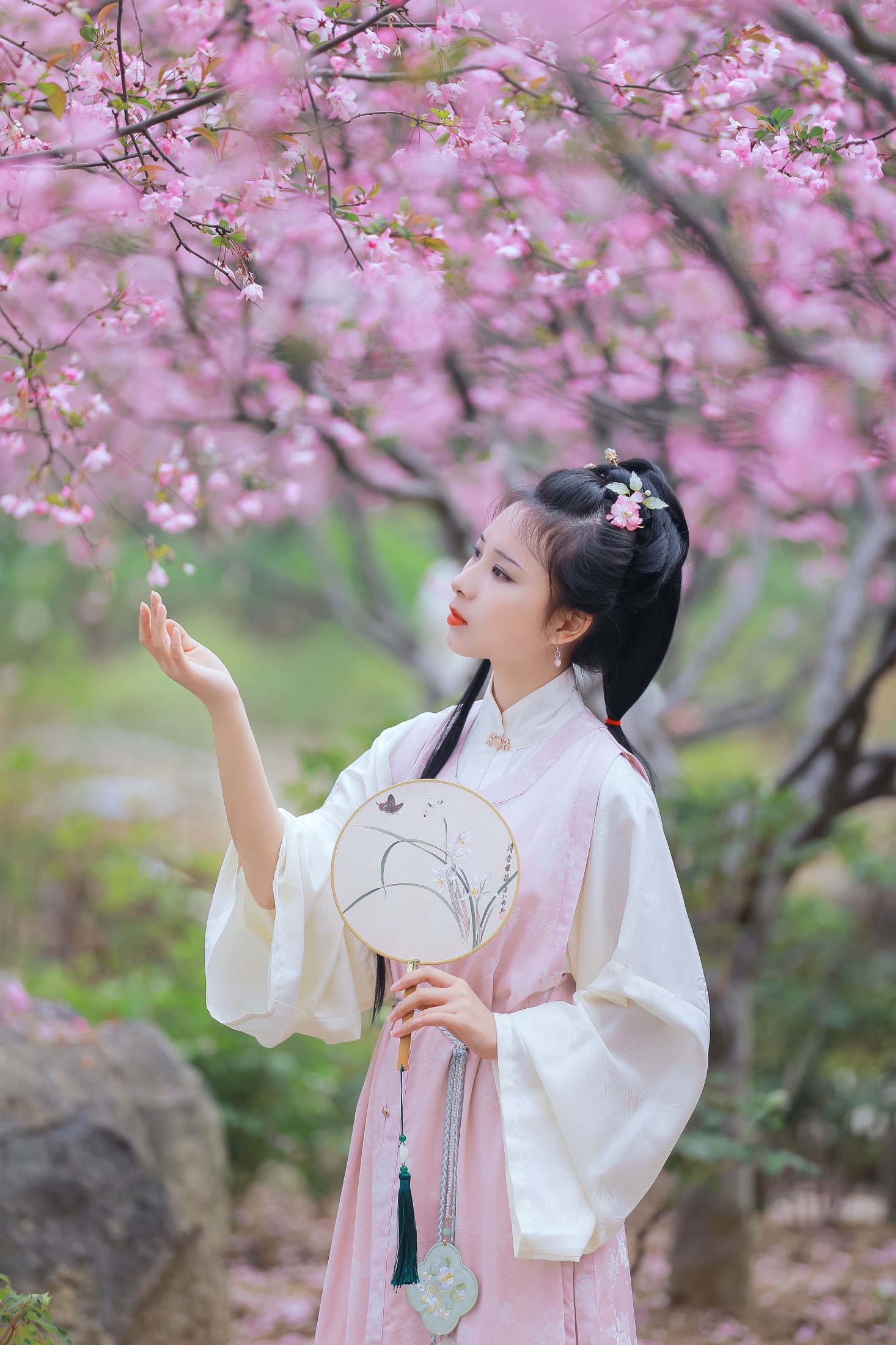 图片[8] - 酒酿圆子 - 《葬花吟》[25P] - 机器猫次元 - 机器猫次元