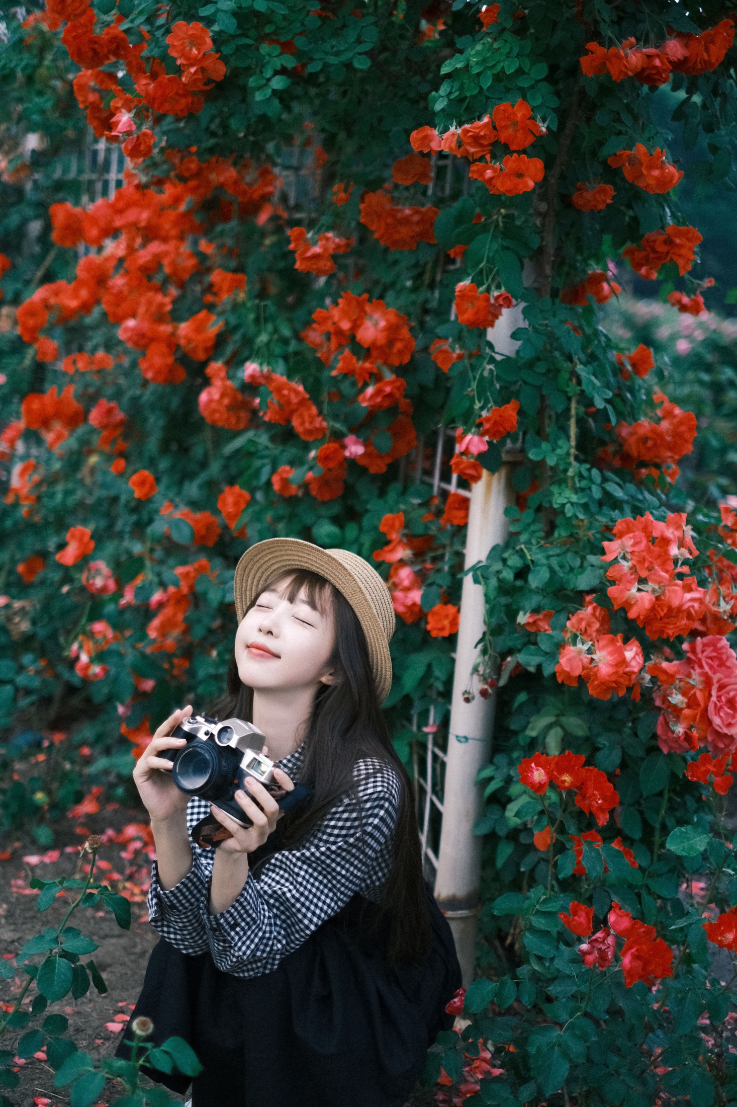 图片[7] - Sweet_t田甜 - 《绚烂奇妙 总会绽放》[21P] - 机器猫次元 - 机器猫次元