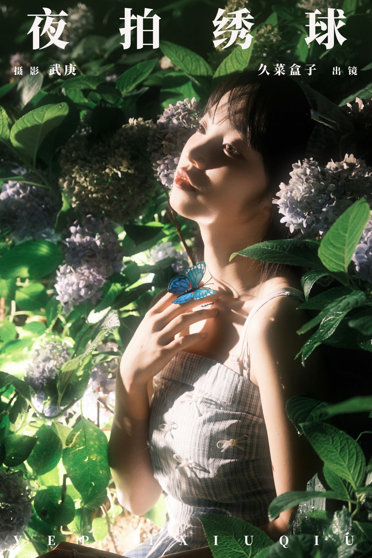 图片[1] - 久菜盒子 - 《夜拍绣球》[31P] - 机器猫次元 - 机器猫次元