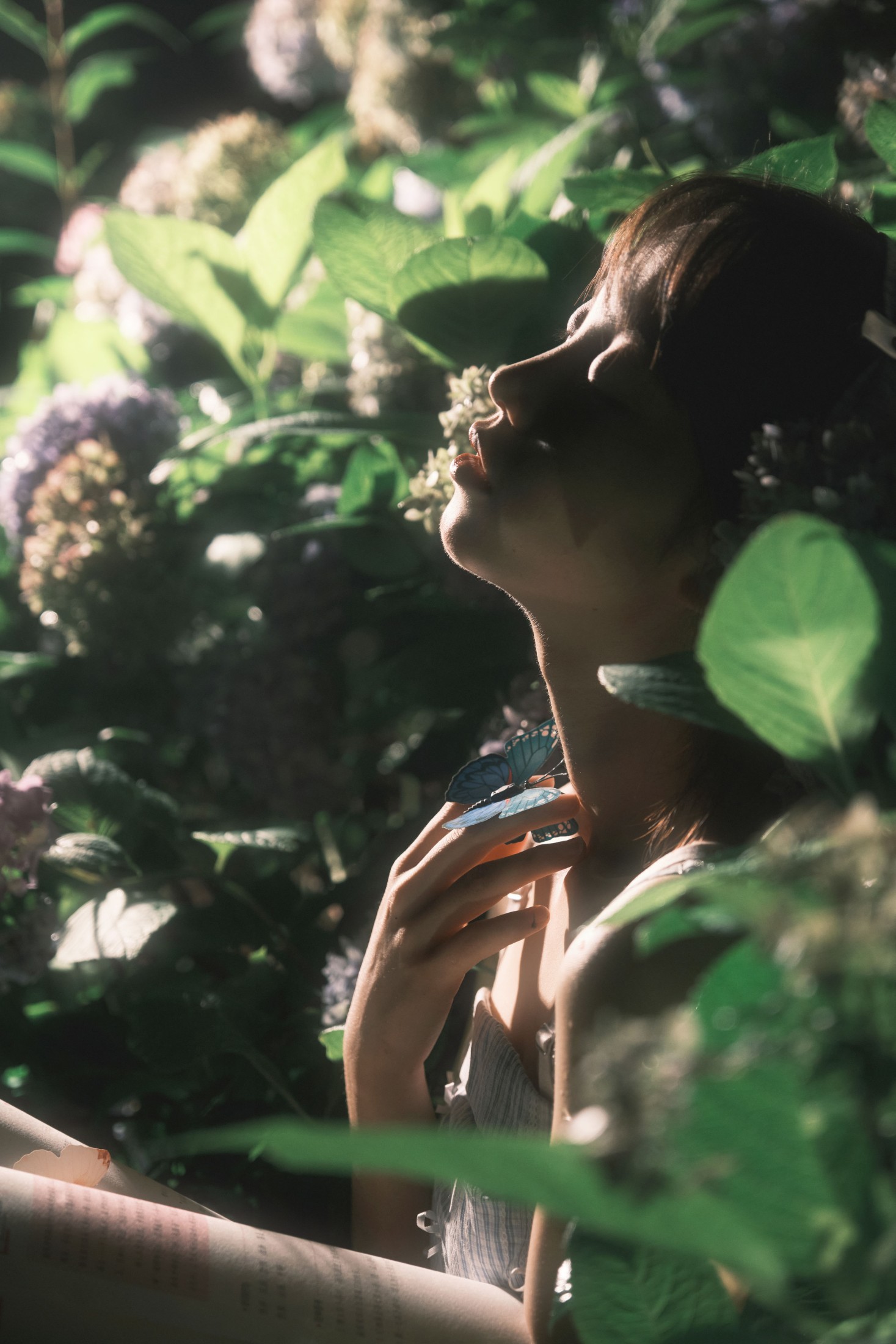 图片[6] - 久菜盒子 - 《夜拍绣球》[31P] - 机器猫次元 - 机器猫次元