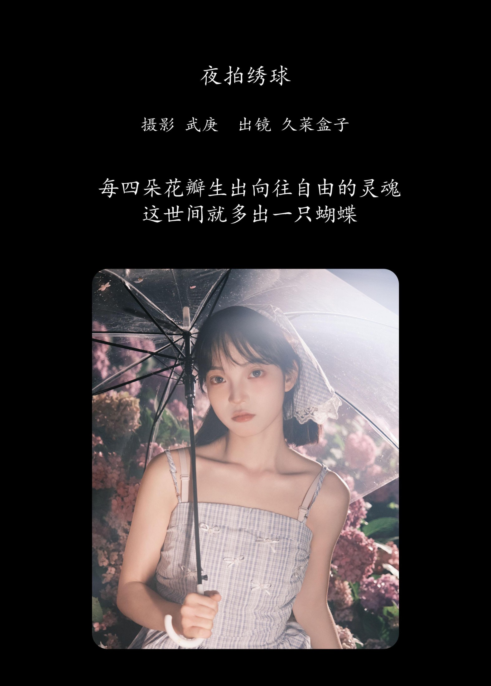 图片[2] - 久菜盒子 - 《夜拍绣球》[31P] - 机器猫次元 - 机器猫次元