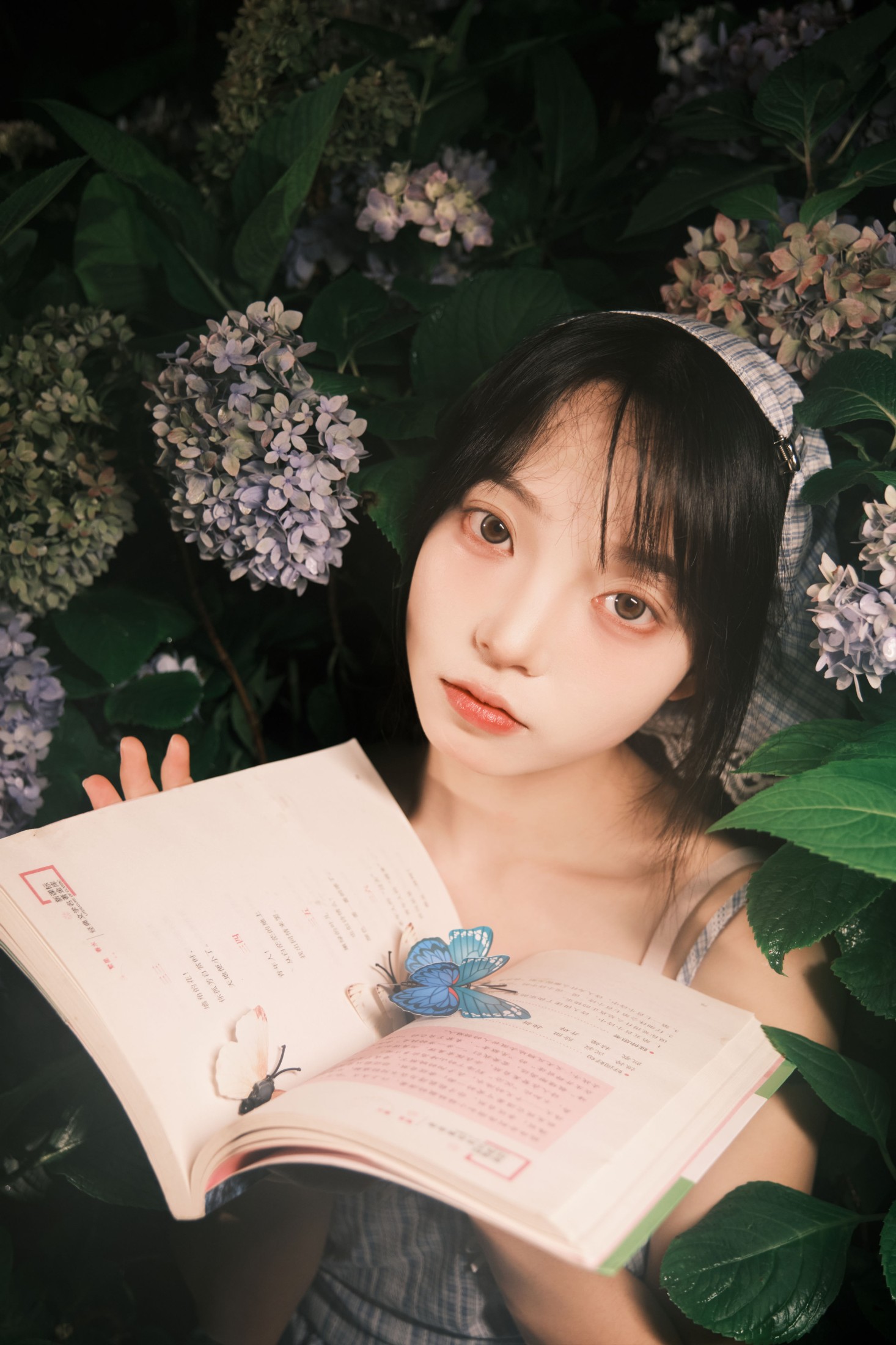 图片[8] - 久菜盒子 - 《夜拍绣球》[31P] - 机器猫次元 - 机器猫次元