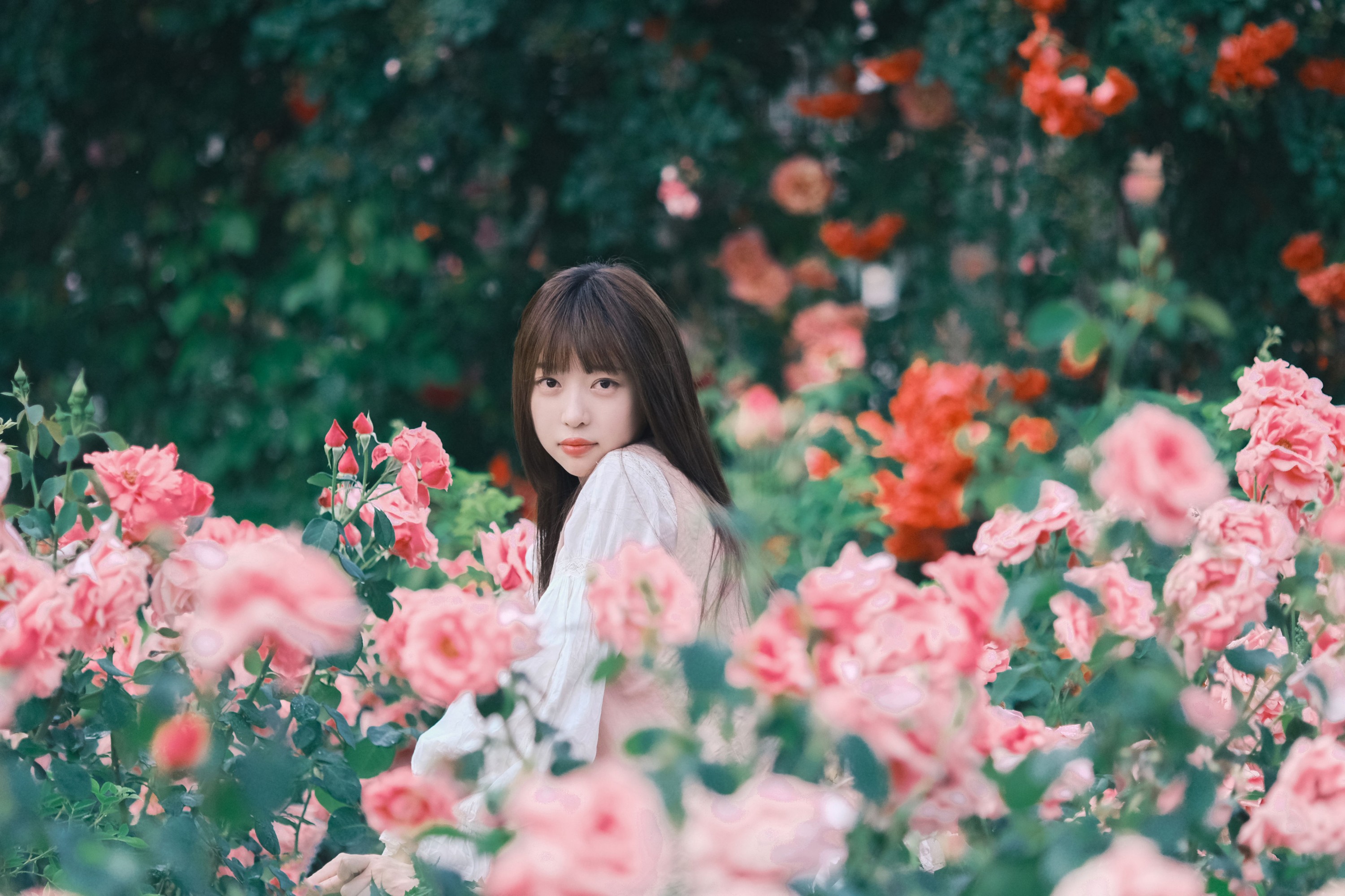 图片[3] - Sweet_t田甜 - 《不止玫瑰有爱意》[22P] - 机器猫次元 - 机器猫次元