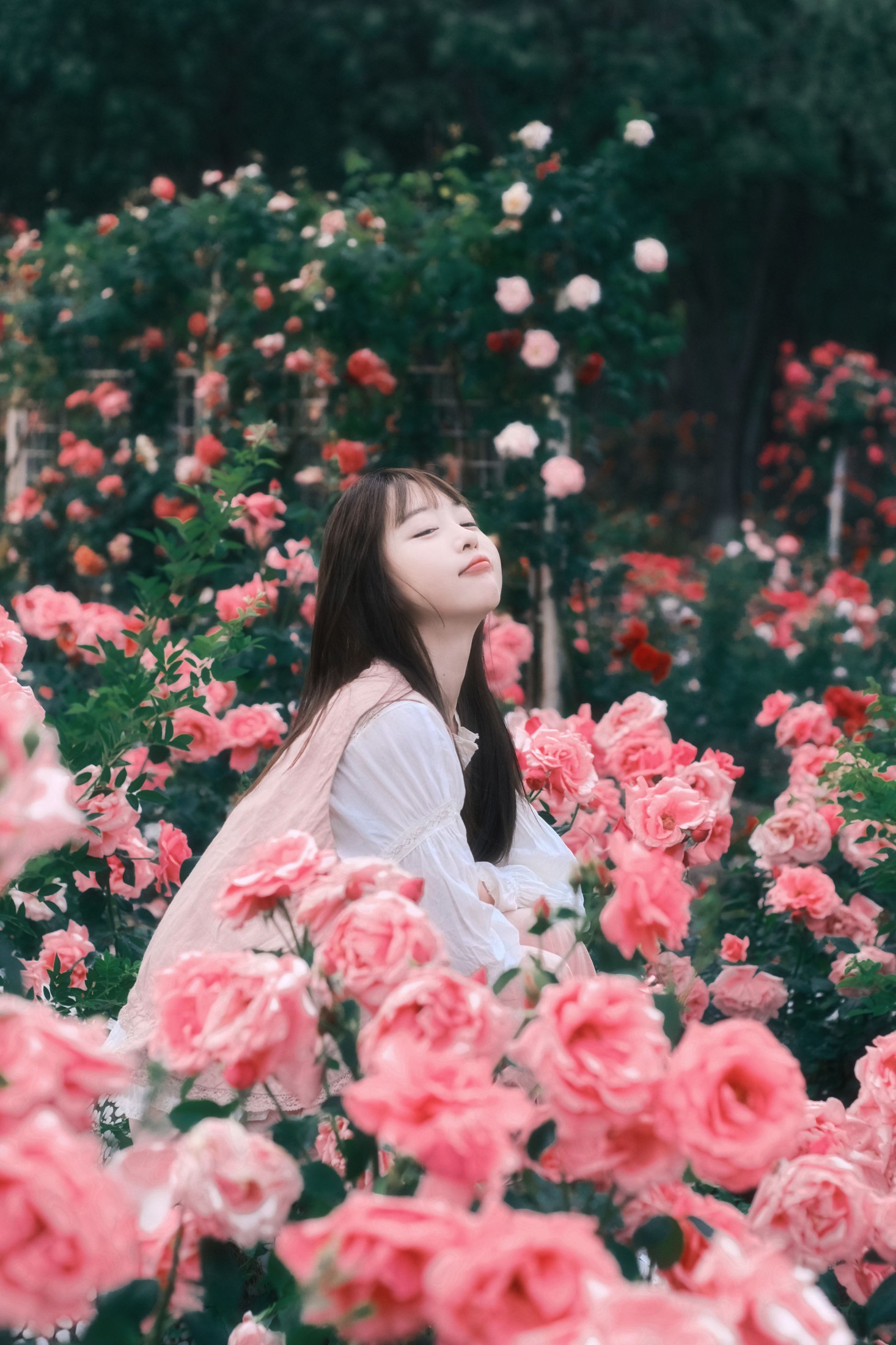 图片[5] - Sweet_t田甜 - 《不止玫瑰有爱意》[22P] - 机器猫次元 - 机器猫次元