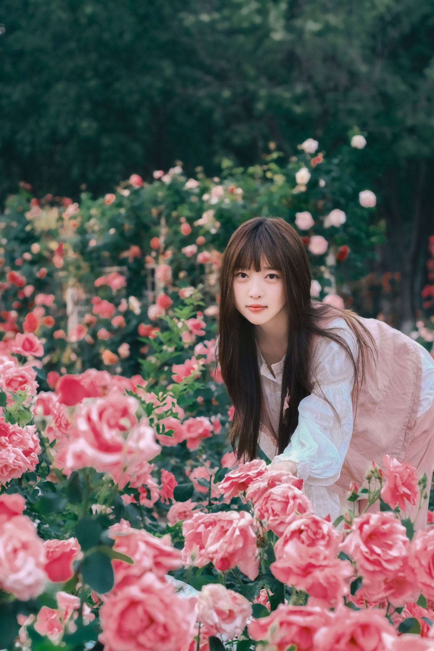 图片[6] - Sweet_t田甜 - 《不止玫瑰有爱意》[22P] - 机器猫次元 - 机器猫次元