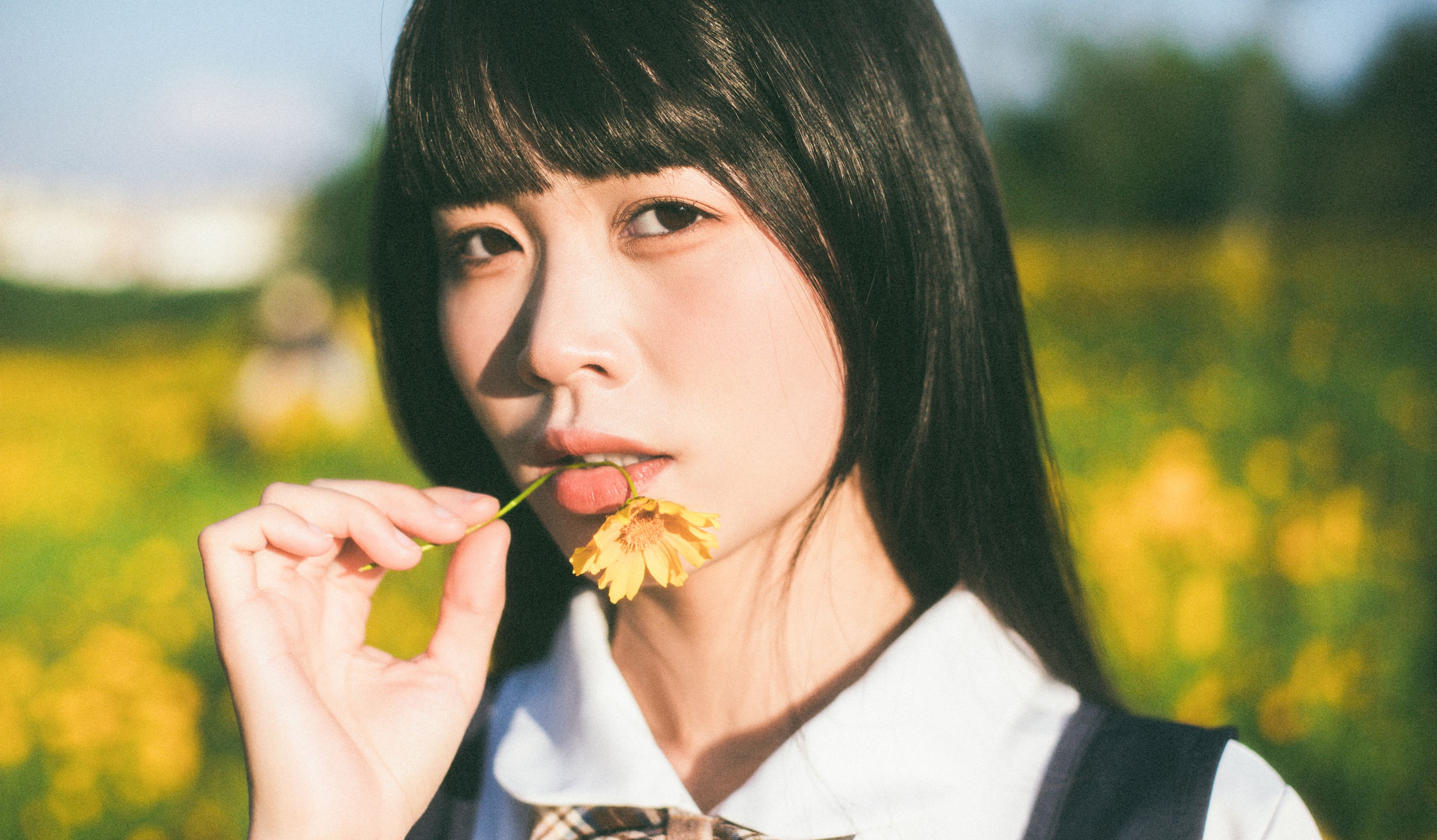 图片[7] - 一 - 《小黄花》[34P] - 机器猫次元 - 机器猫次元