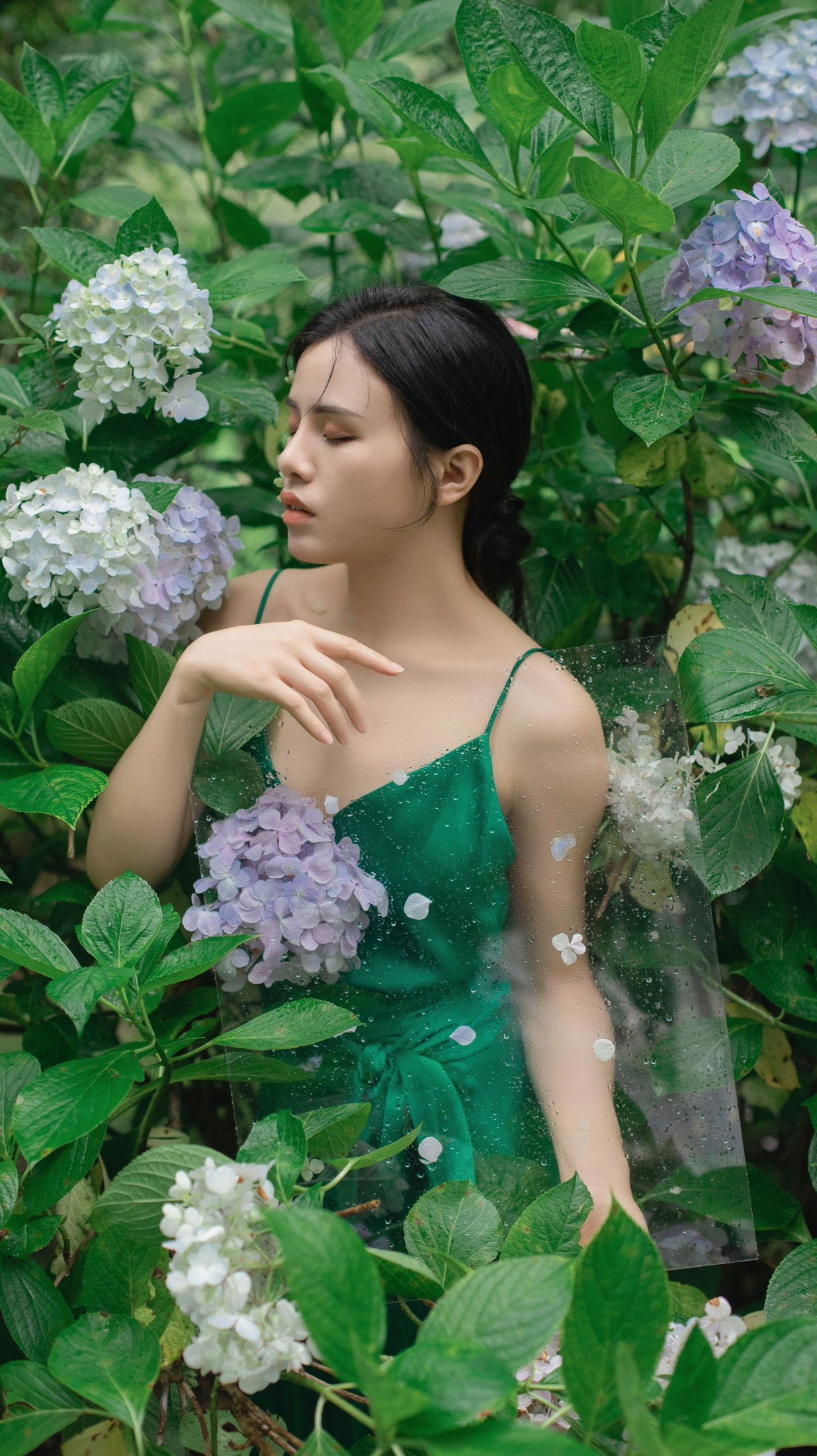 图片[3] - 安妮 - 《无尽夏》[27P] - 机器猫次元 - 机器猫次元
