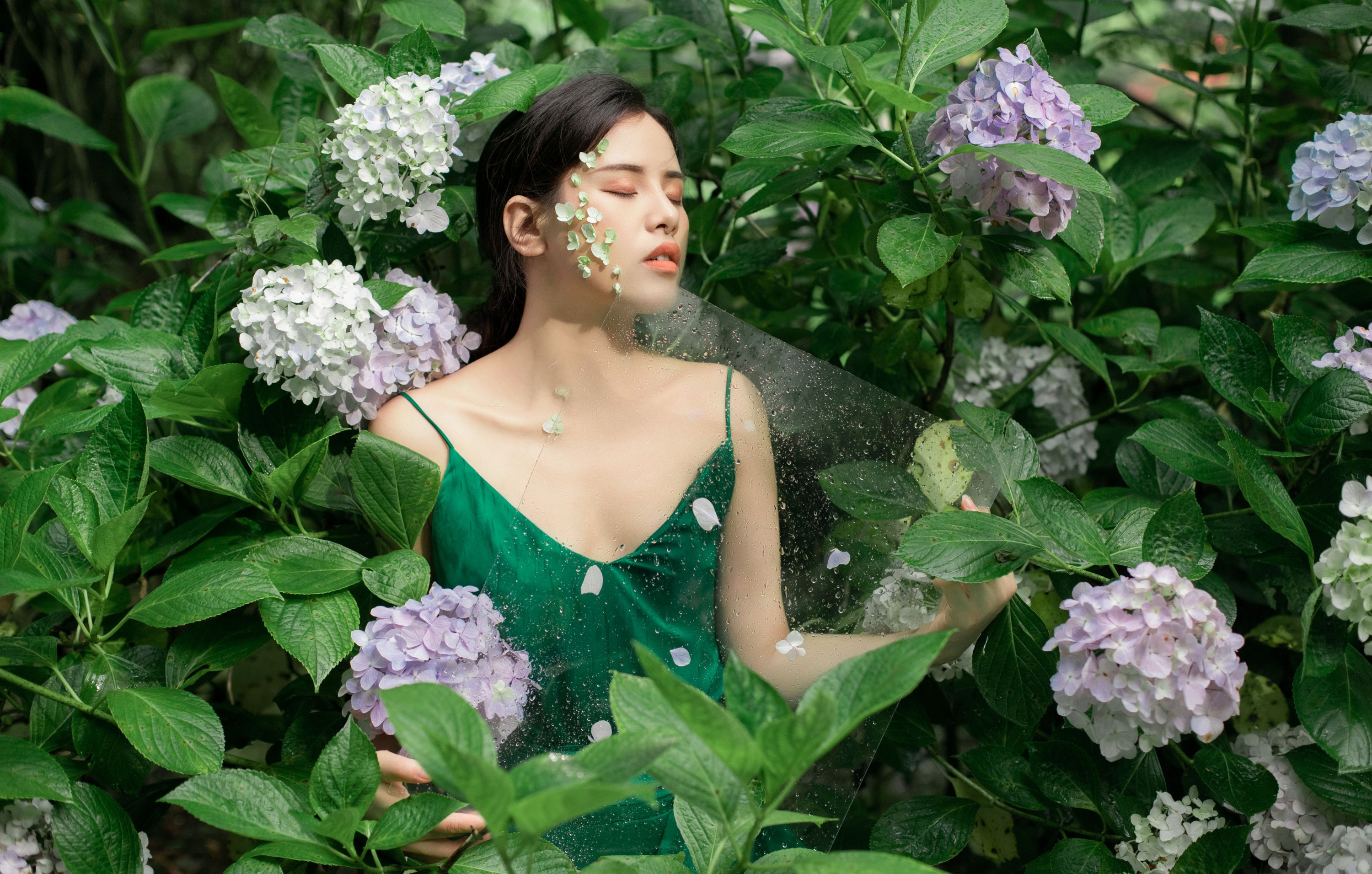 图片[4] - 安妮 - 《无尽夏》[27P] - 机器猫次元 - 机器猫次元