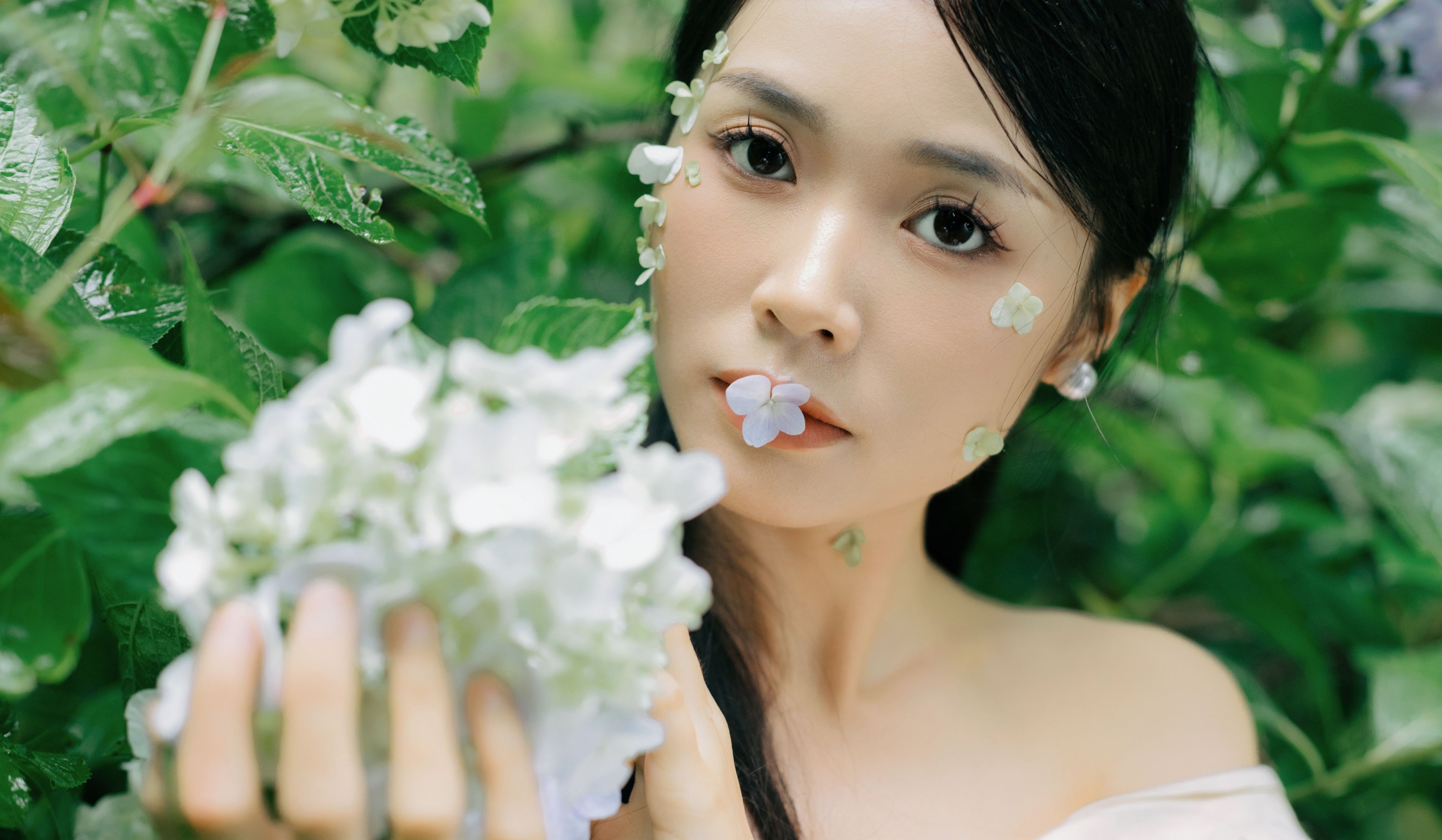 图片[7] - 一 - 《山间绣球花正开》[26P] - 机器猫次元 - 机器猫次元