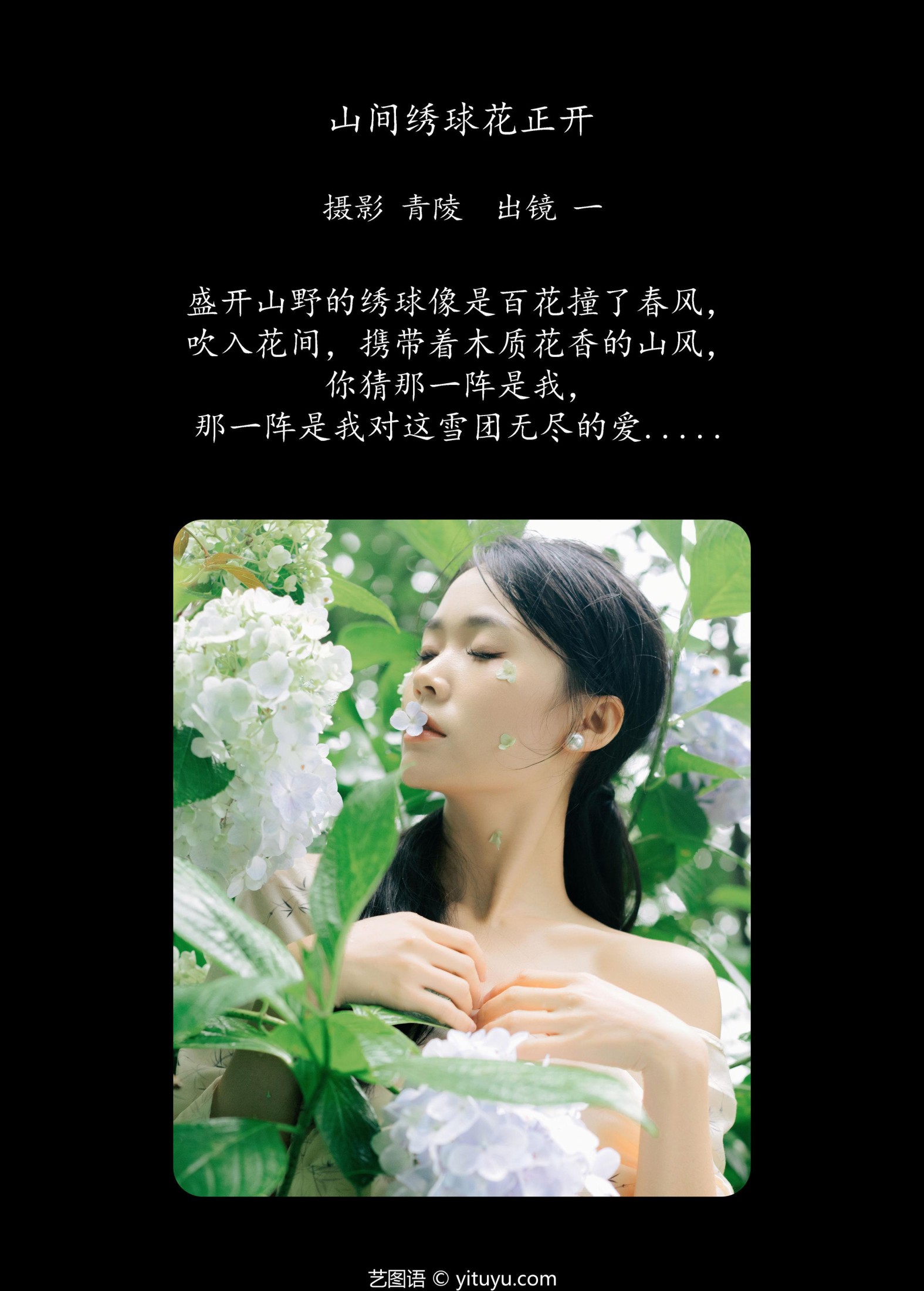 图片[2] - 一 - 《山间绣球花正开》[26P] - 机器猫次元 - 机器猫次元