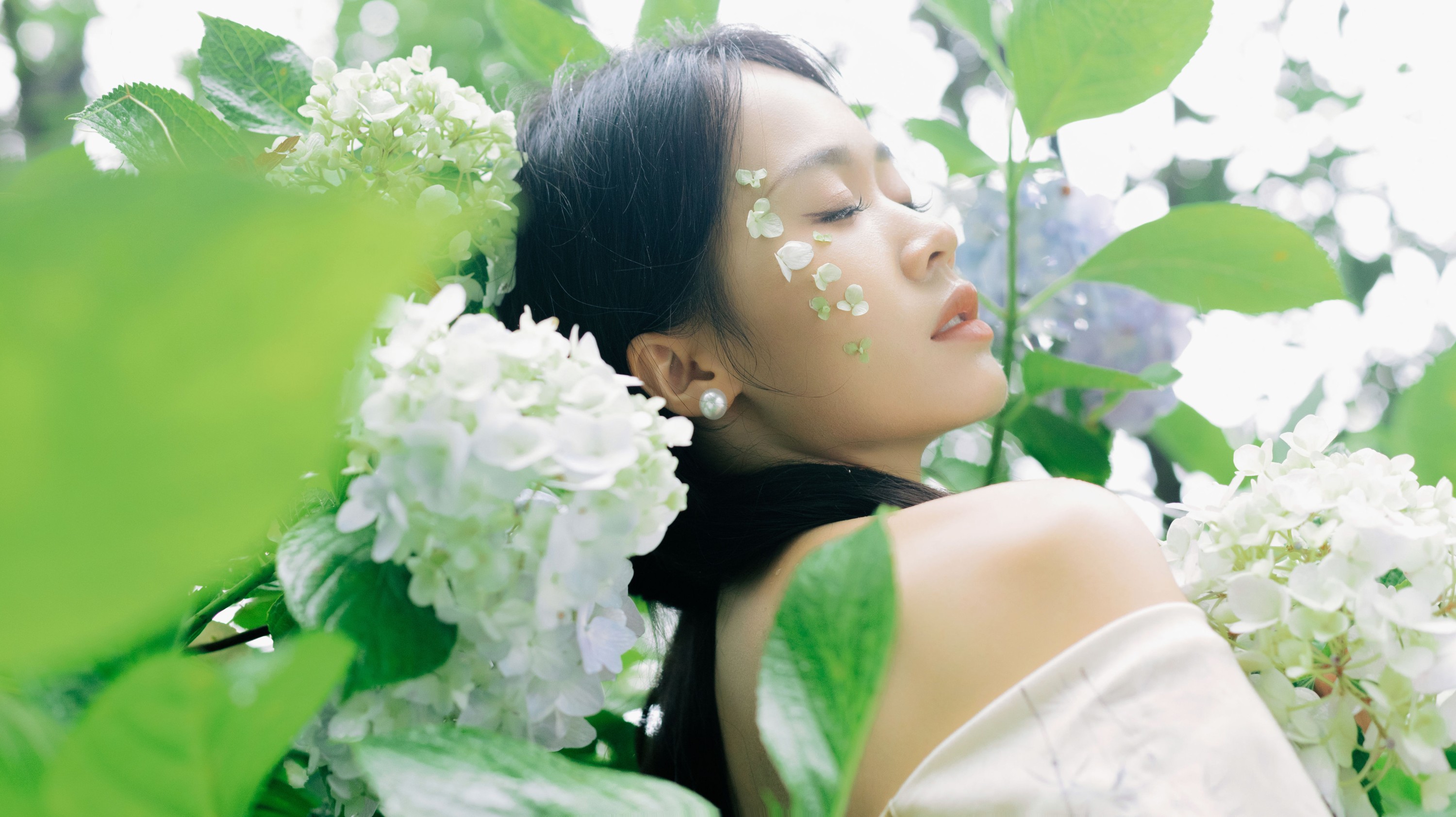 图片[4] - 一 - 《山间绣球花正开》[26P] - 机器猫次元 - 机器猫次元
