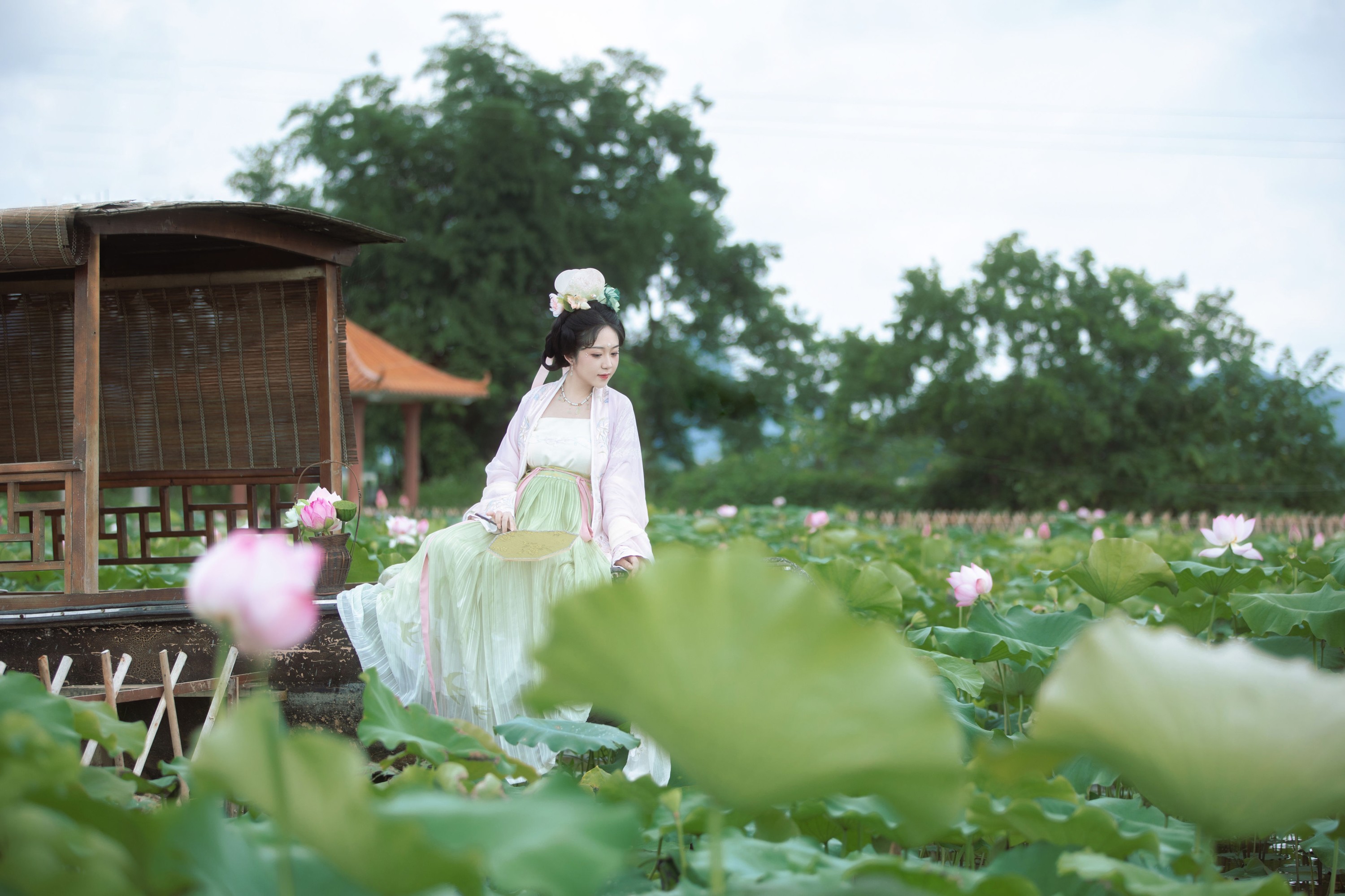 图片[5] - 沉诗思 - 《采莲曲》[25P] - 机器猫次元 - 机器猫次元