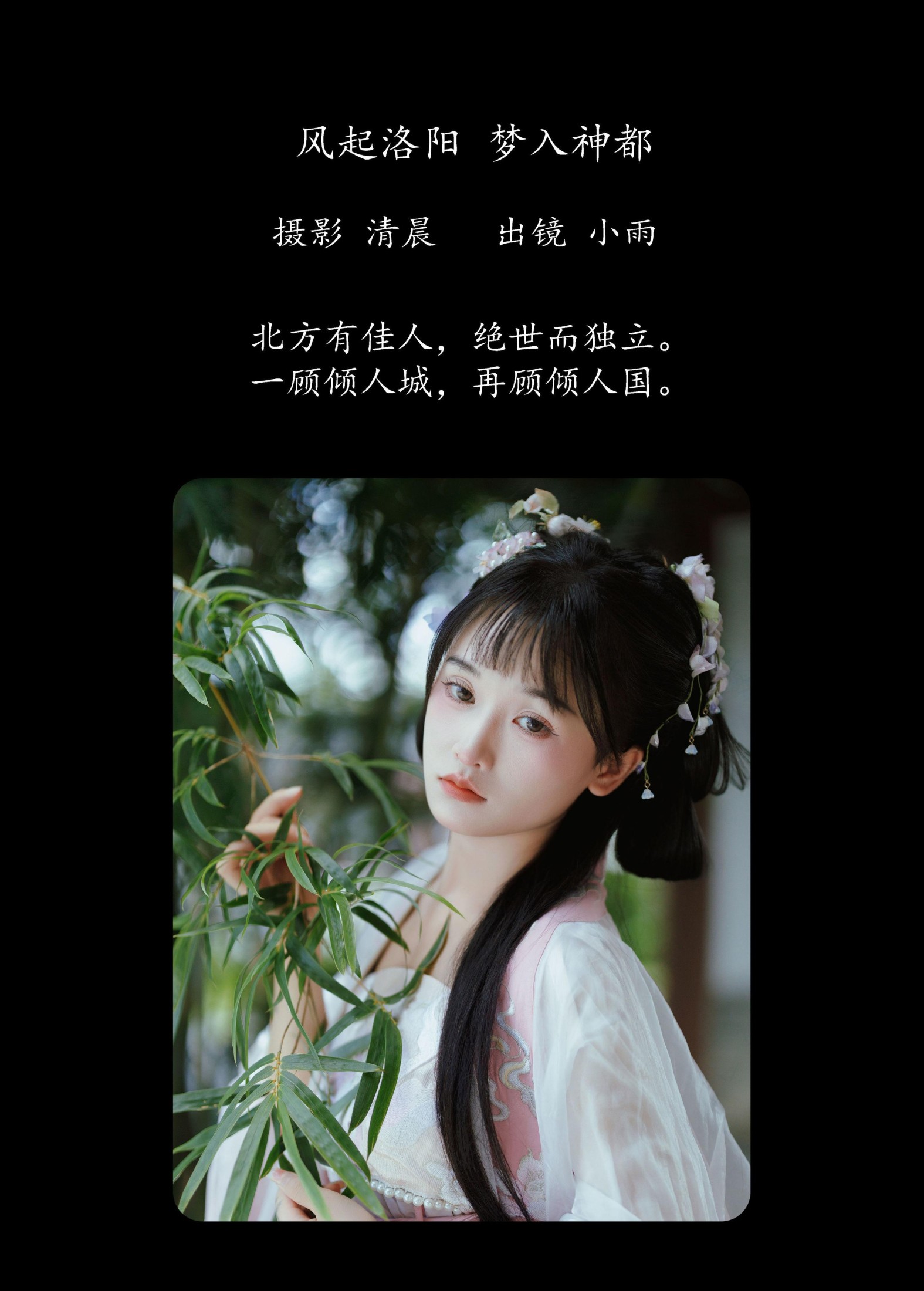 图片[2] - 小小雨 - 《风起洛阳 梦入神都》[37P] - 机器猫次元 - 机器猫次元