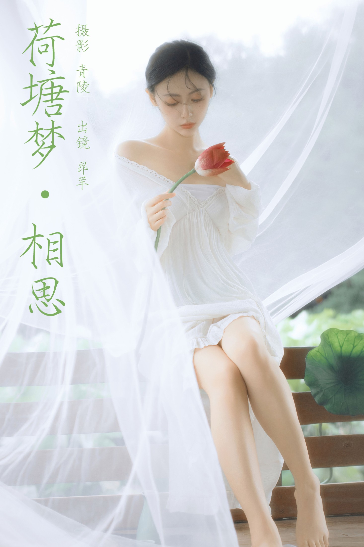 图片[1] - 是昂羊呀 - 《荷塘梦·相思》[51P] - 机器猫次元 - 机器猫次元