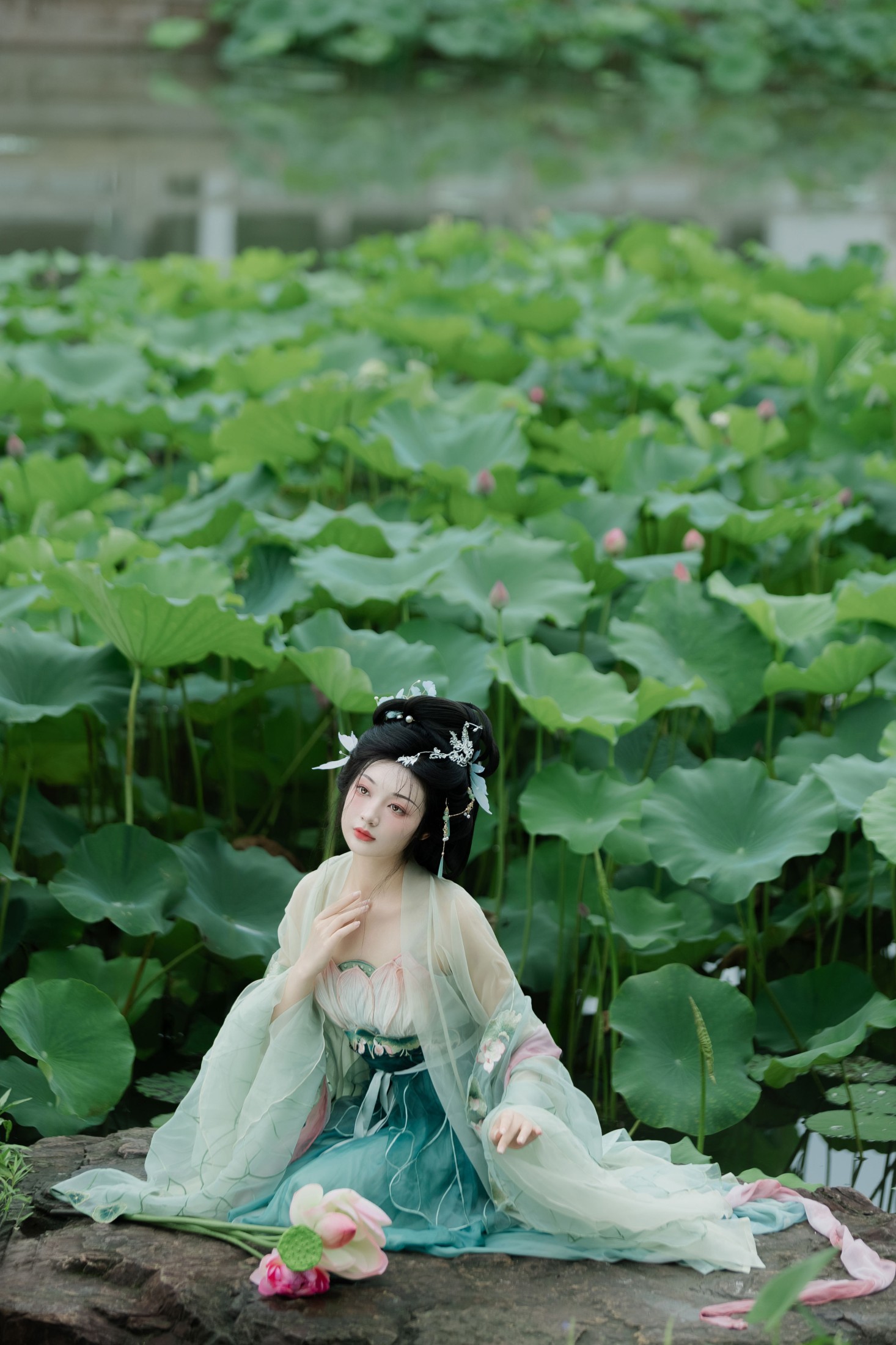 图片[4] - 庄子清 - 《暑荷》[32P] - 机器猫次元 - 机器猫次元