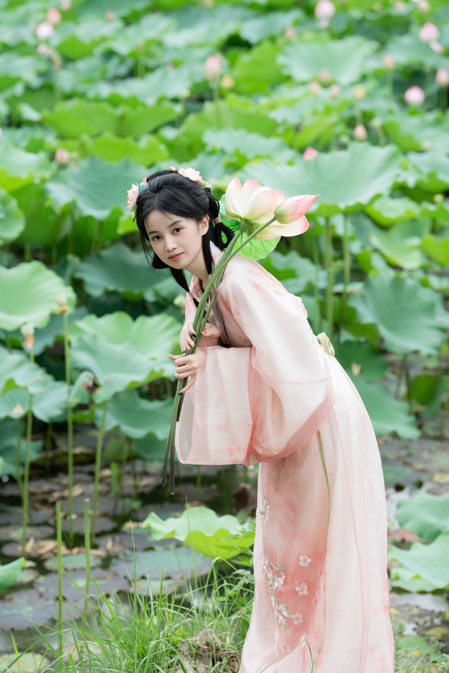 图片[5] - spring - 《接天莲叶无穷碧》[25P] - 机器猫次元 - 机器猫次元