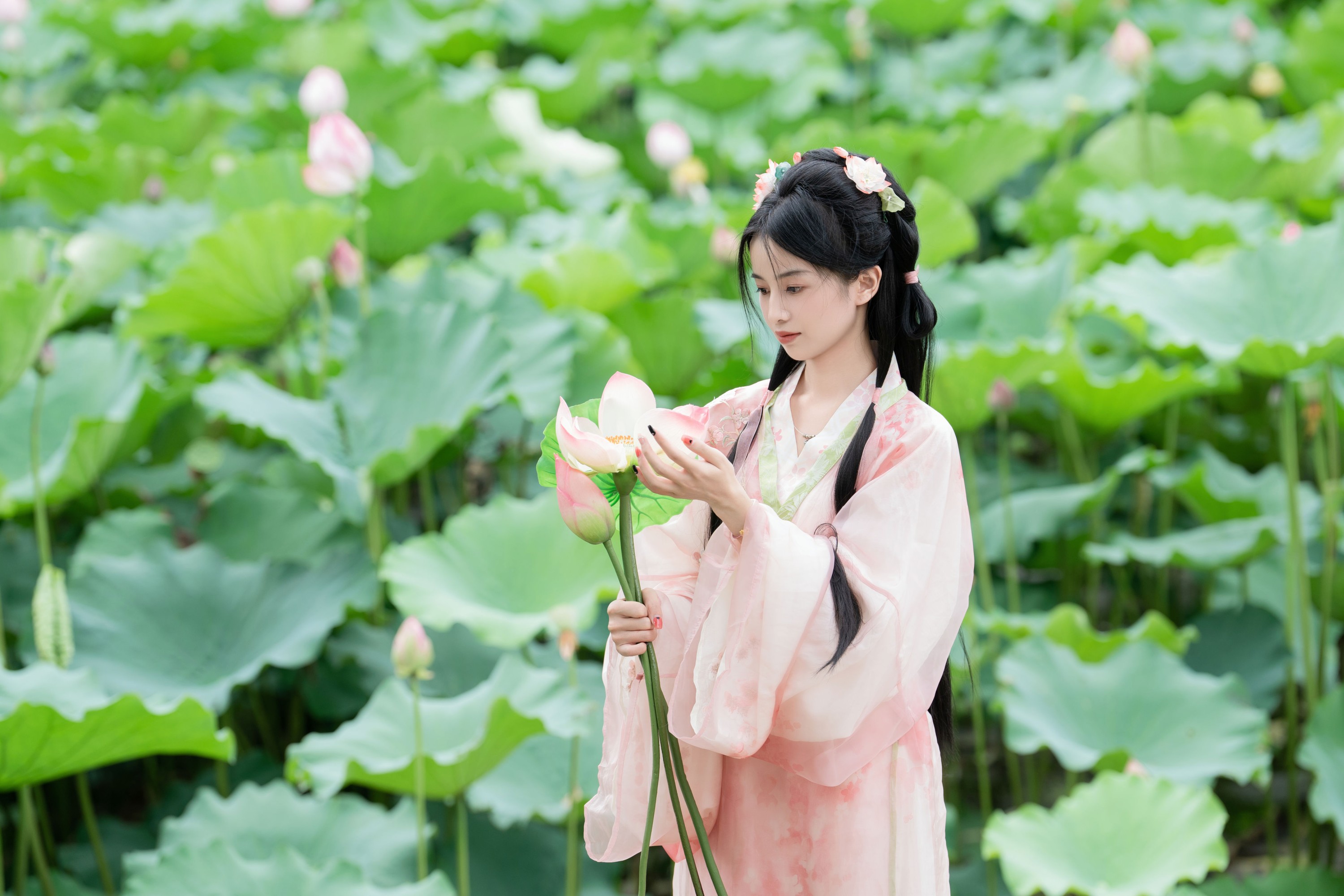 图片[4] - spring - 《接天莲叶无穷碧》[25P] - 机器猫次元 - 机器猫次元