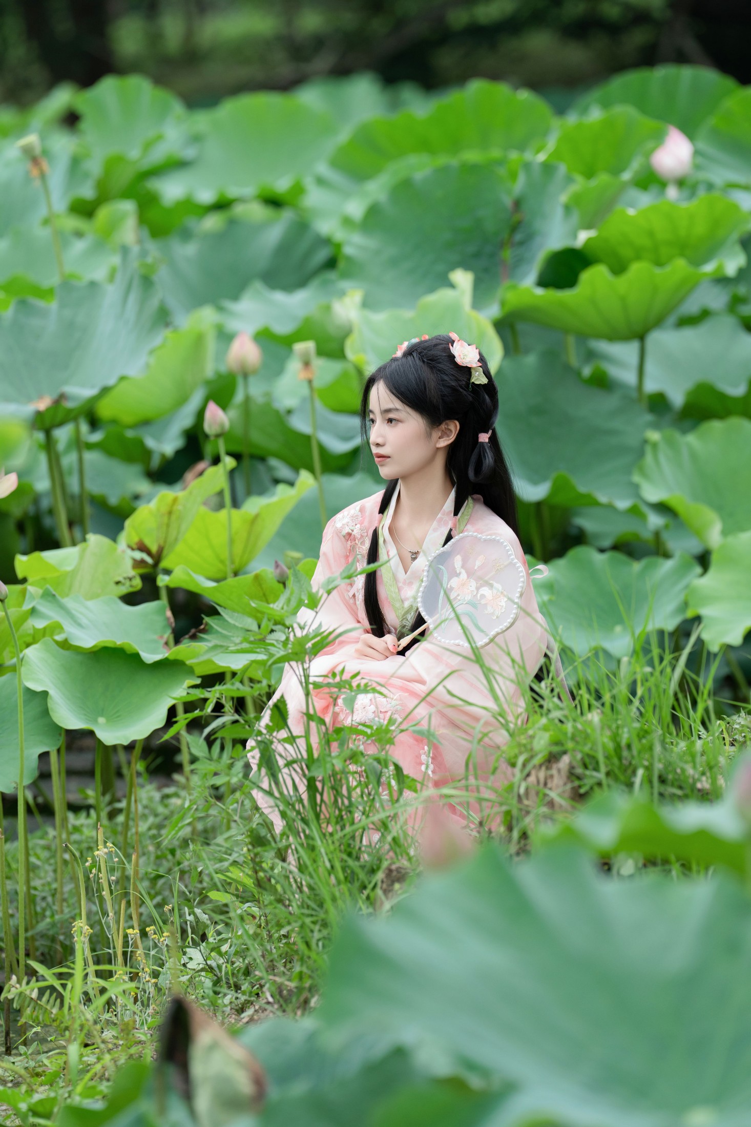 图片[8] - spring - 《接天莲叶无穷碧》[25P] - 机器猫次元 - 机器猫次元
