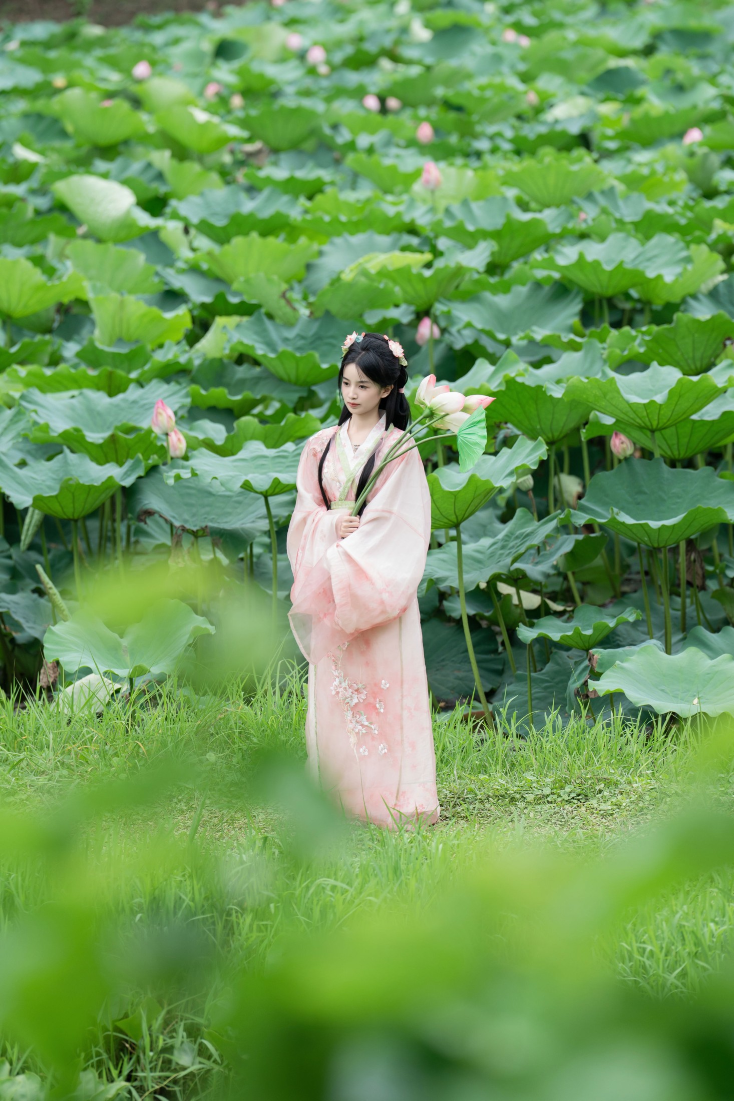 图片[6] - spring - 《接天莲叶无穷碧》[25P] - 机器猫次元 - 机器猫次元