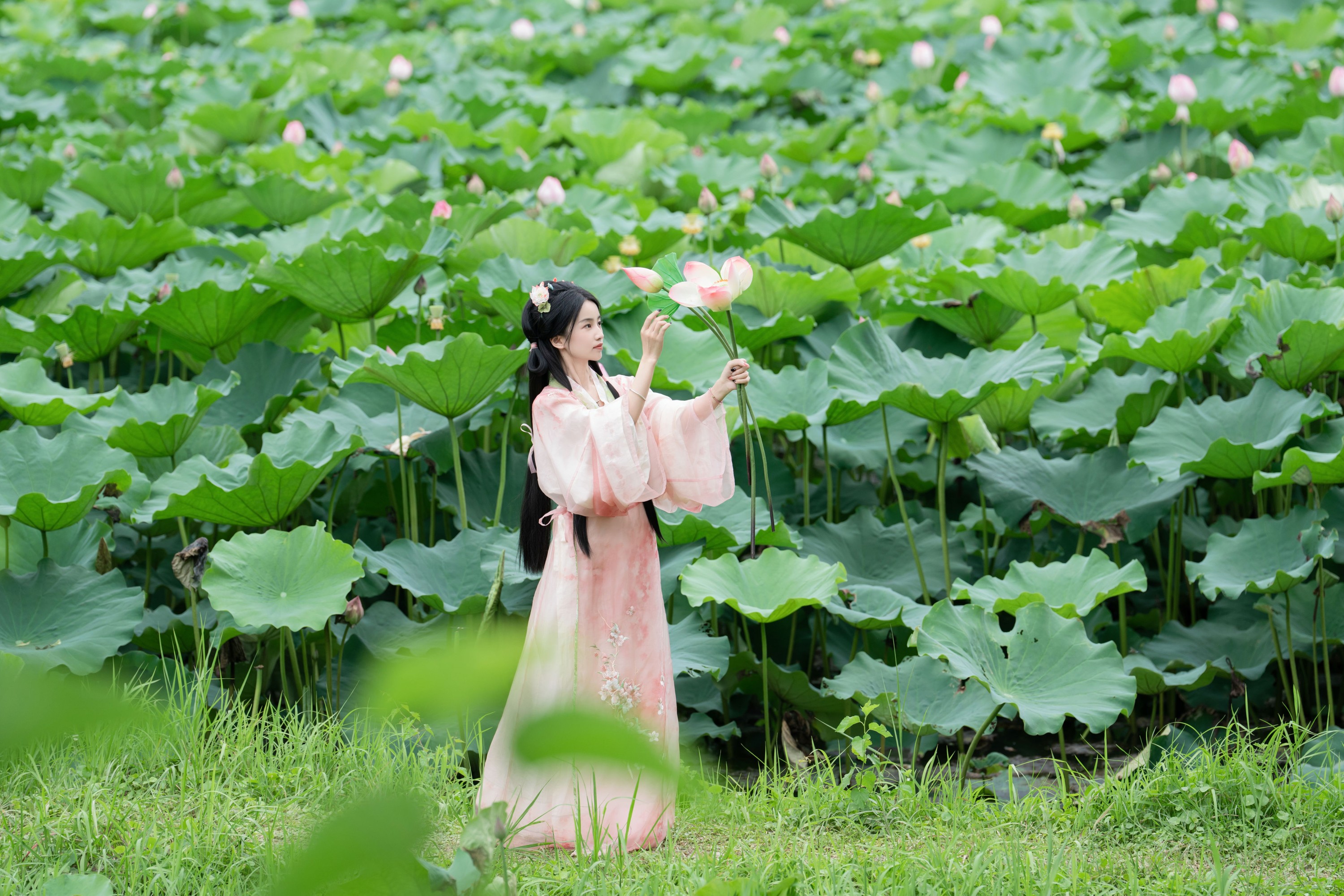 图片[7] - spring - 《接天莲叶无穷碧》[25P] - 机器猫次元 - 机器猫次元
