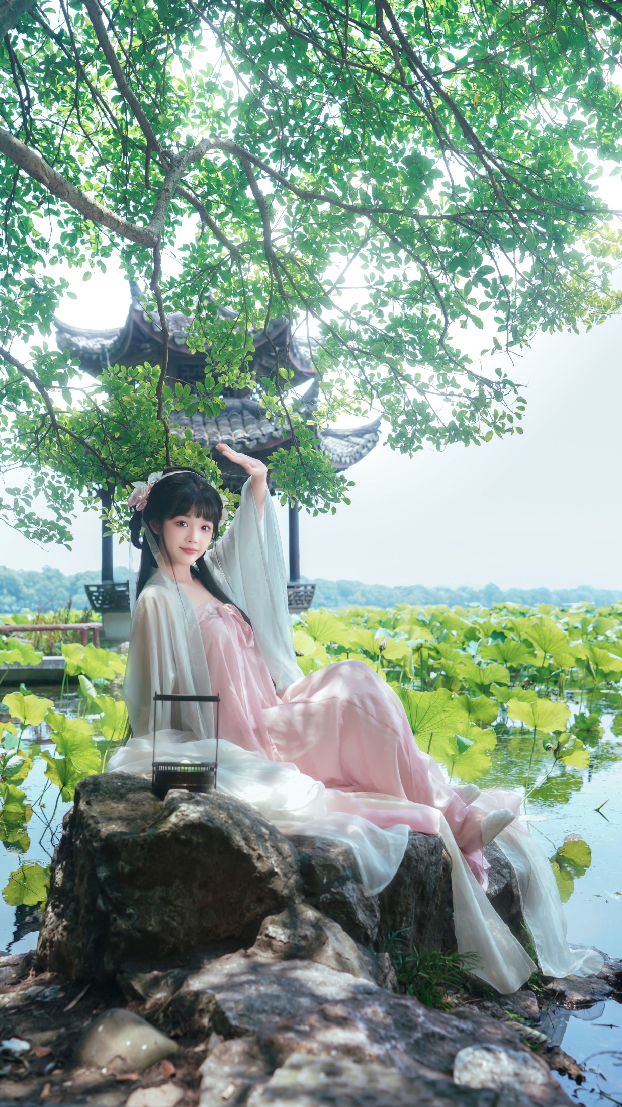 图片[3] - 予君 - 《荷花园》[29P] - 机器猫次元 - 机器猫次元