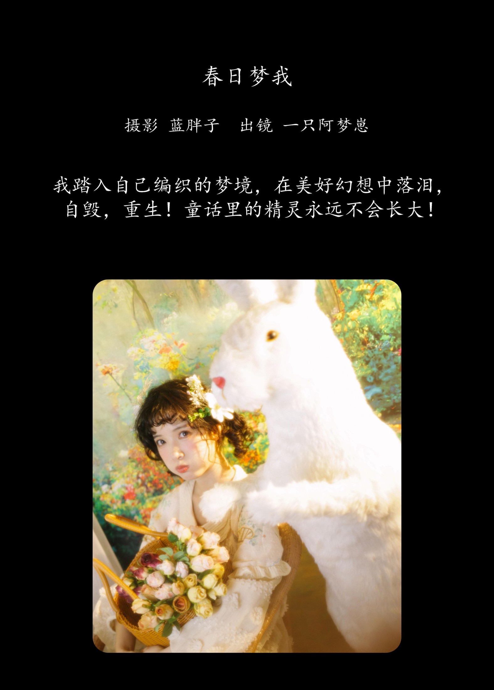 图片[2] - 一只阿梦崽 - 《春日梦我》[29P] - 机器猫次元 - 机器猫次元