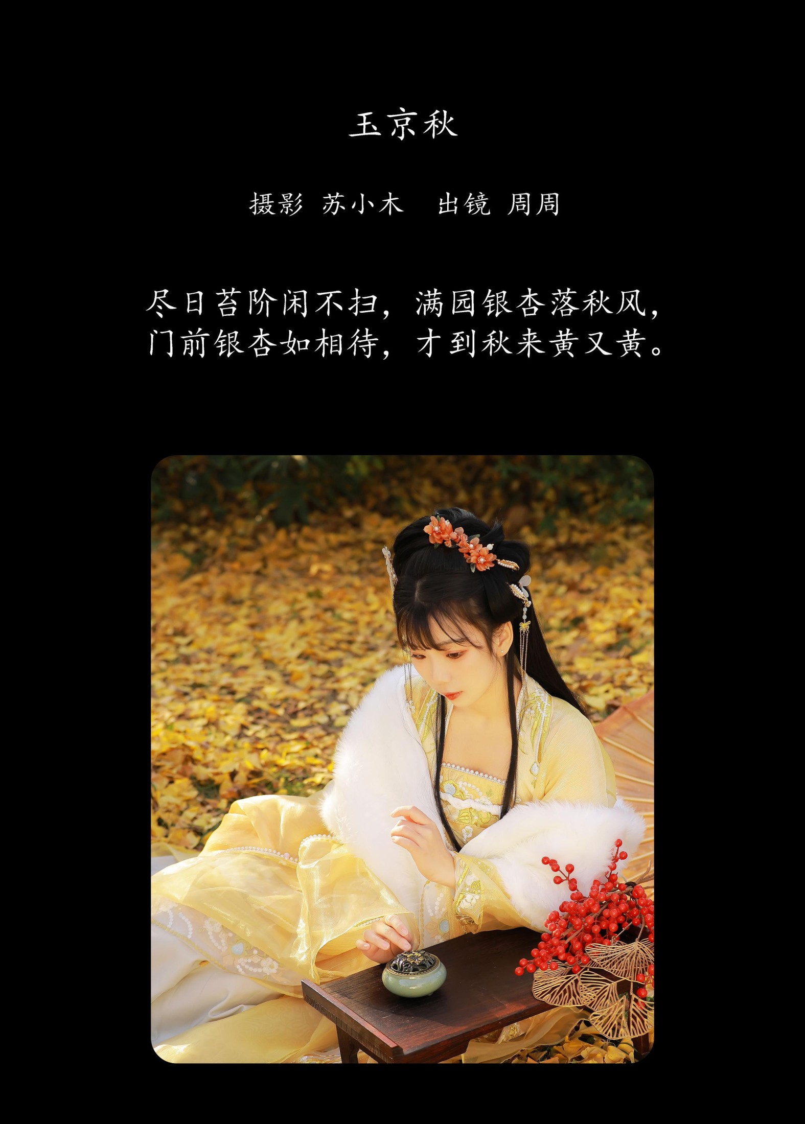 图片[2] - 周周Ay - 《玉京秋》[25P] - 机器猫次元 - 机器猫次元