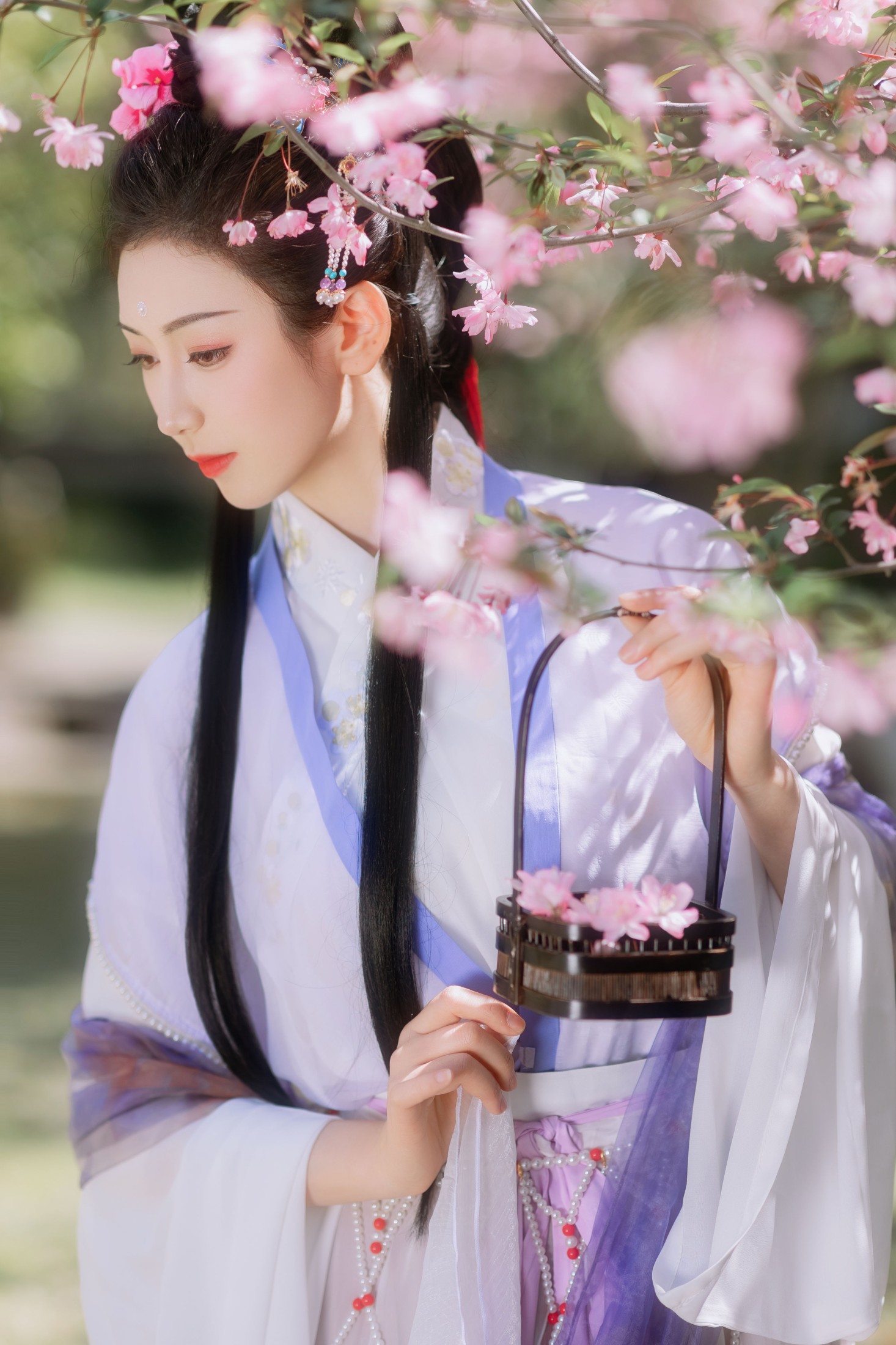 图片[5] - 静姝 - 《海棠春》[25P] - 机器猫次元 - 机器猫次元