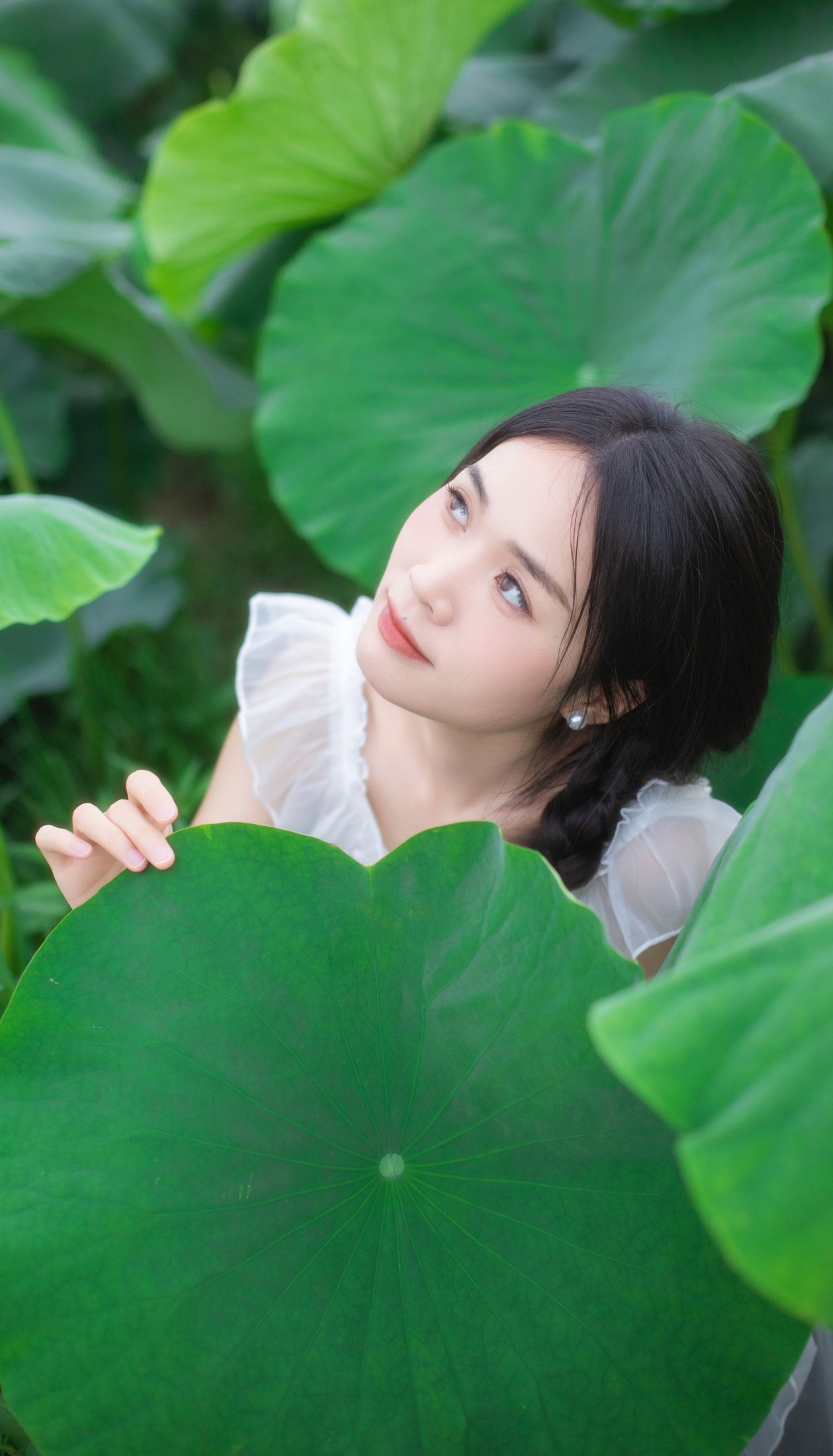 图片[7] - 一 - 《儿时的那片荷田》[24P] - 机器猫次元 - 机器猫次元
