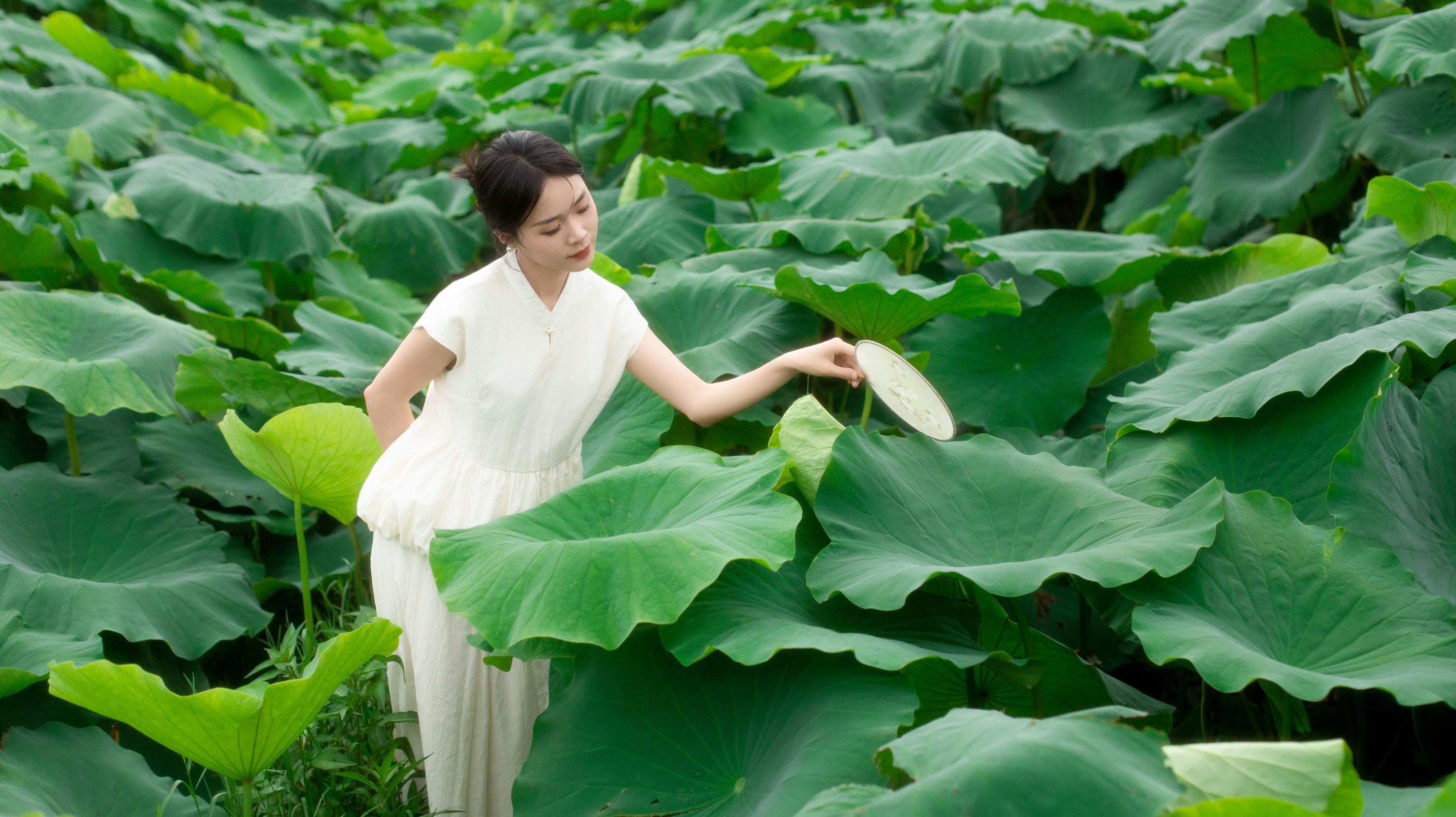 图片[3] - 一 - 《夏日荷香》[37P] - 机器猫次元 - 机器猫次元