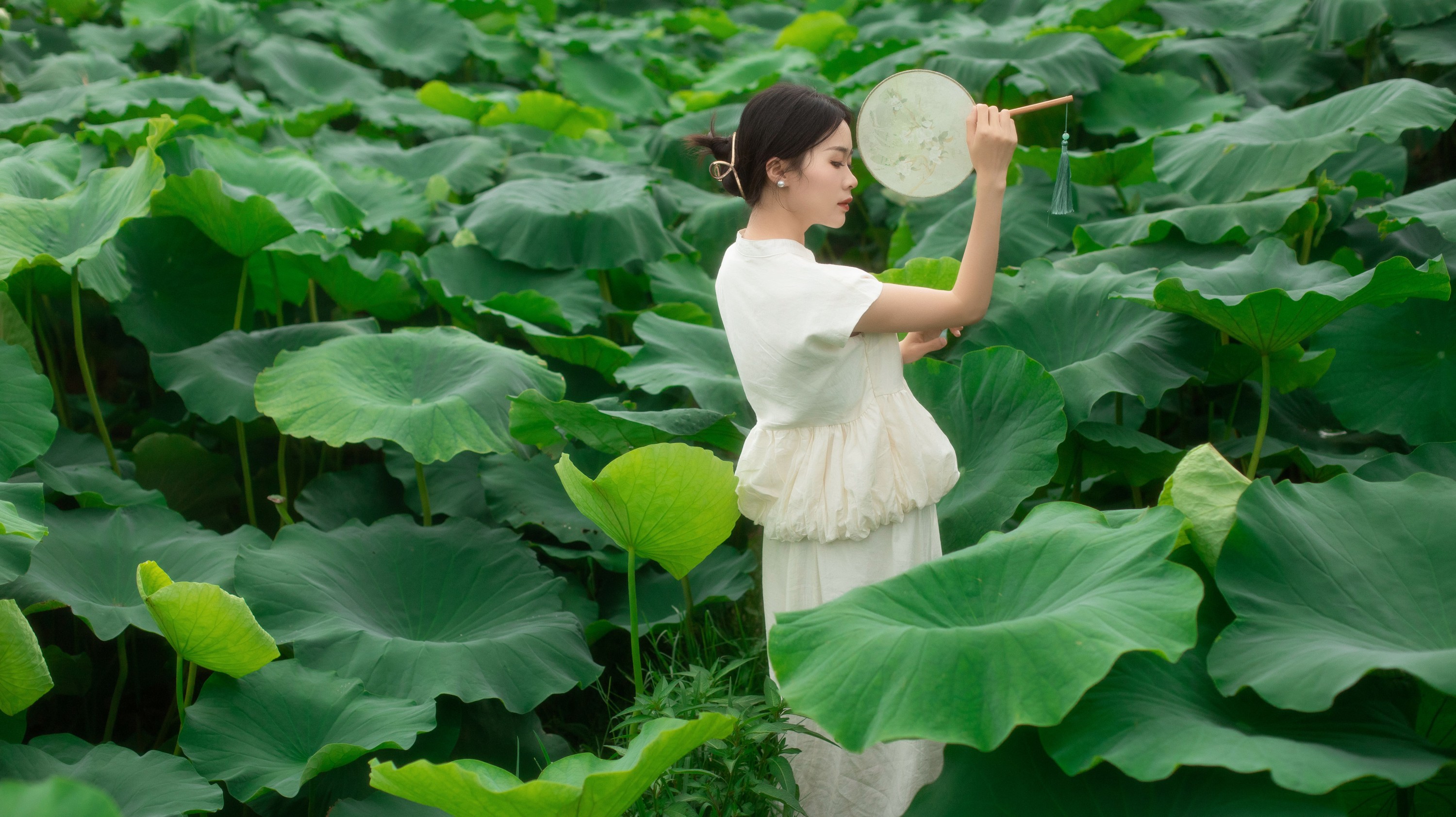 图片[4] - 一 - 《夏日荷香》[37P] - 机器猫次元 - 机器猫次元