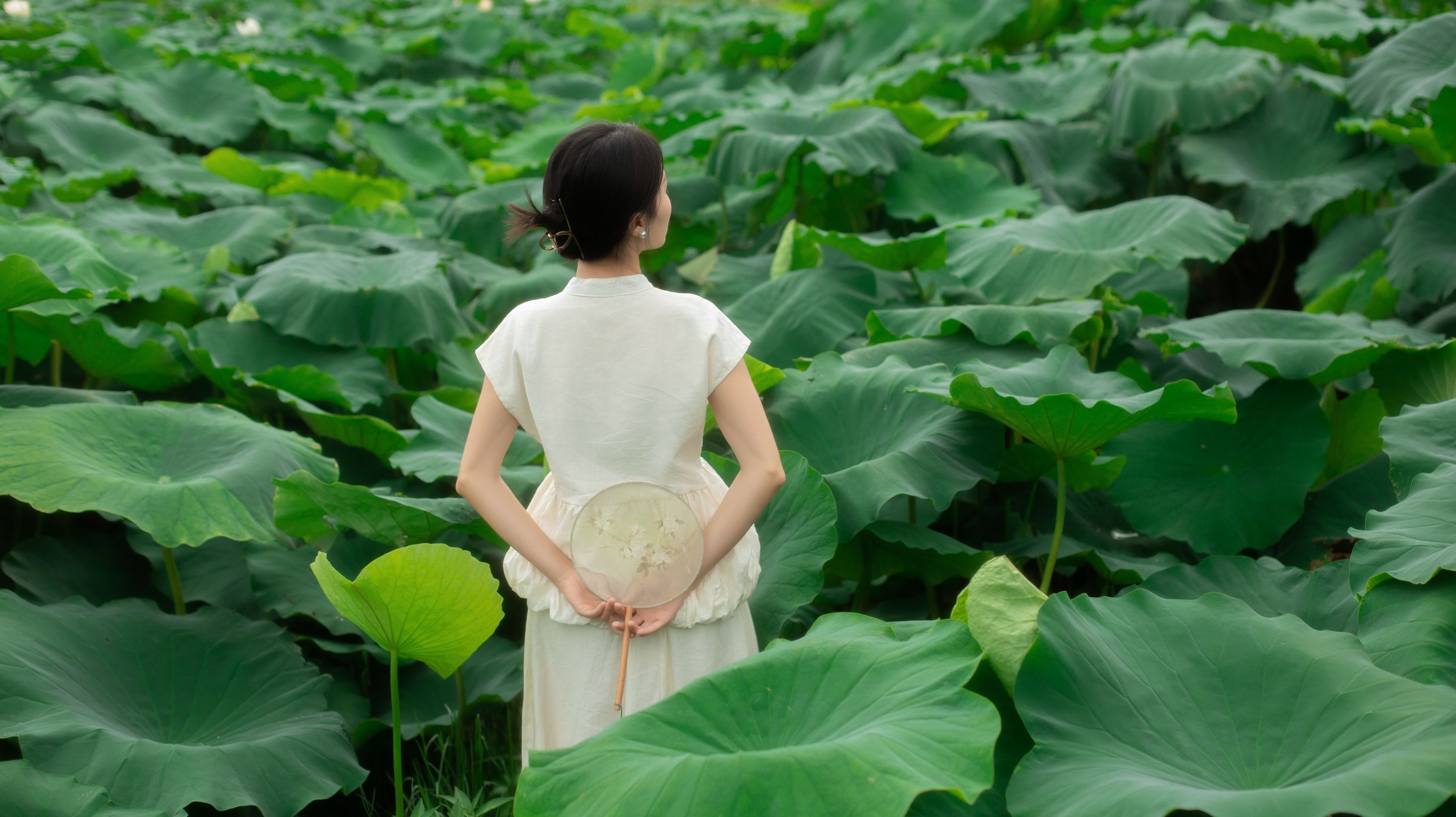 图片[5] - 一 - 《夏日荷香》[37P] - 机器猫次元 - 机器猫次元