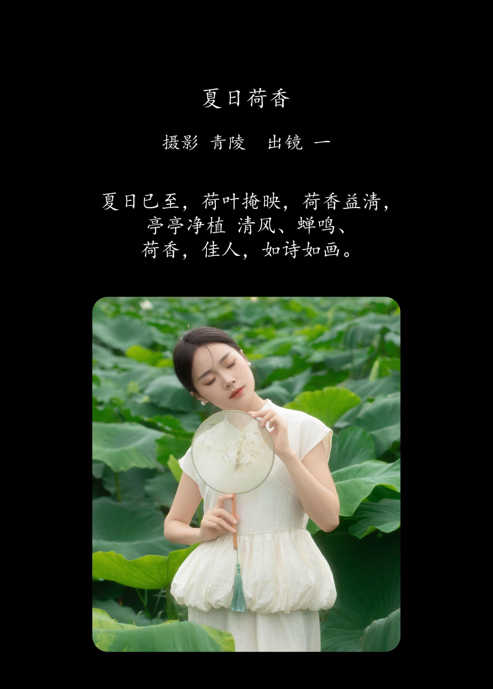 图片[2] - 一 - 《夏日荷香》[37P] - 机器猫次元 - 机器猫次元