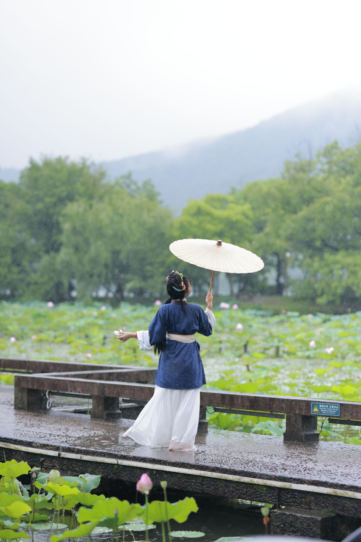 图片[7] - 君茹 - 《黛玉赏荷》[20P] - 机器猫次元 - 机器猫次元
