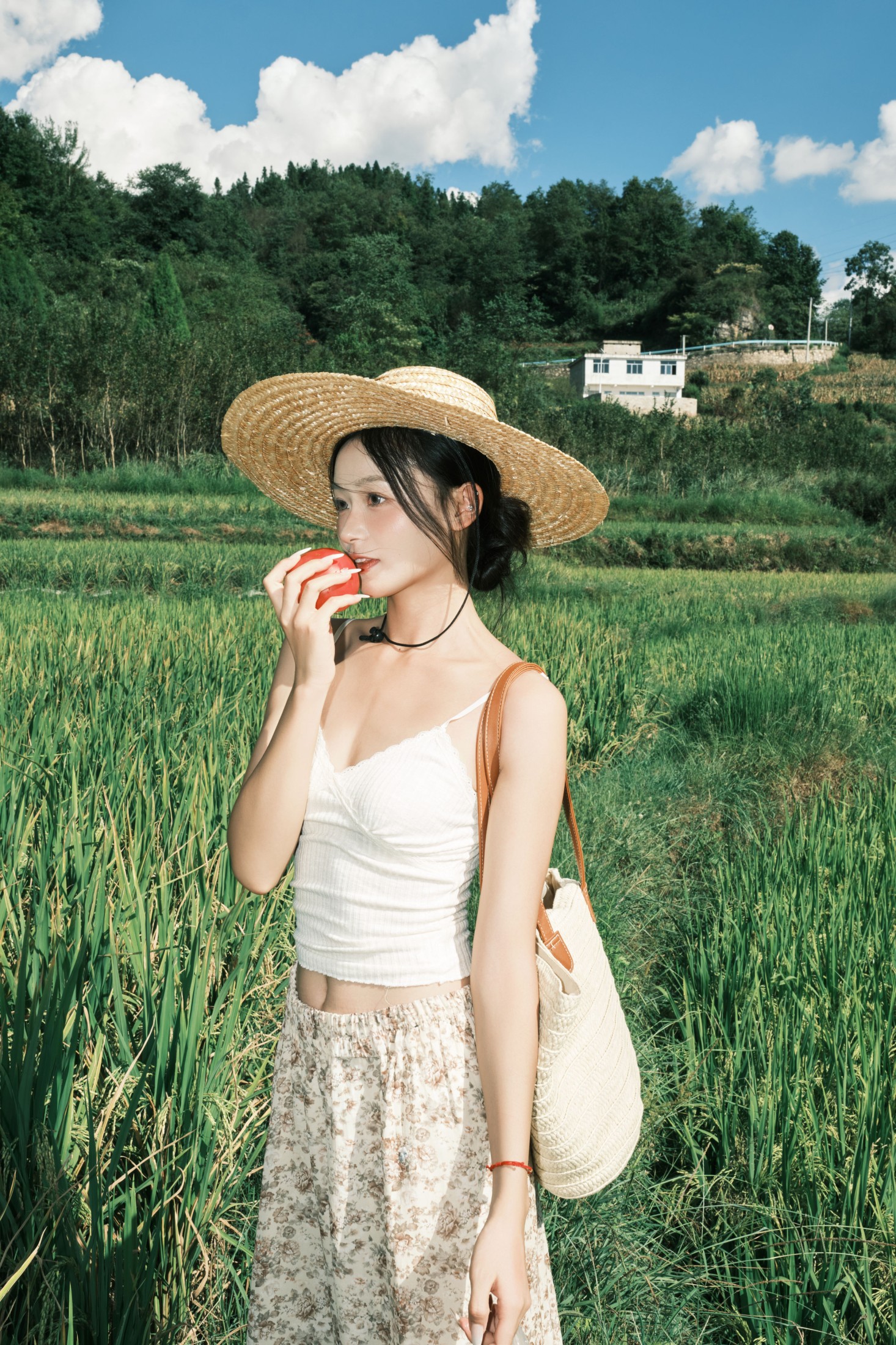 图片[5] - 小番茄 - 《无尽夏日》[79P] - 机器猫次元 - 机器猫次元
