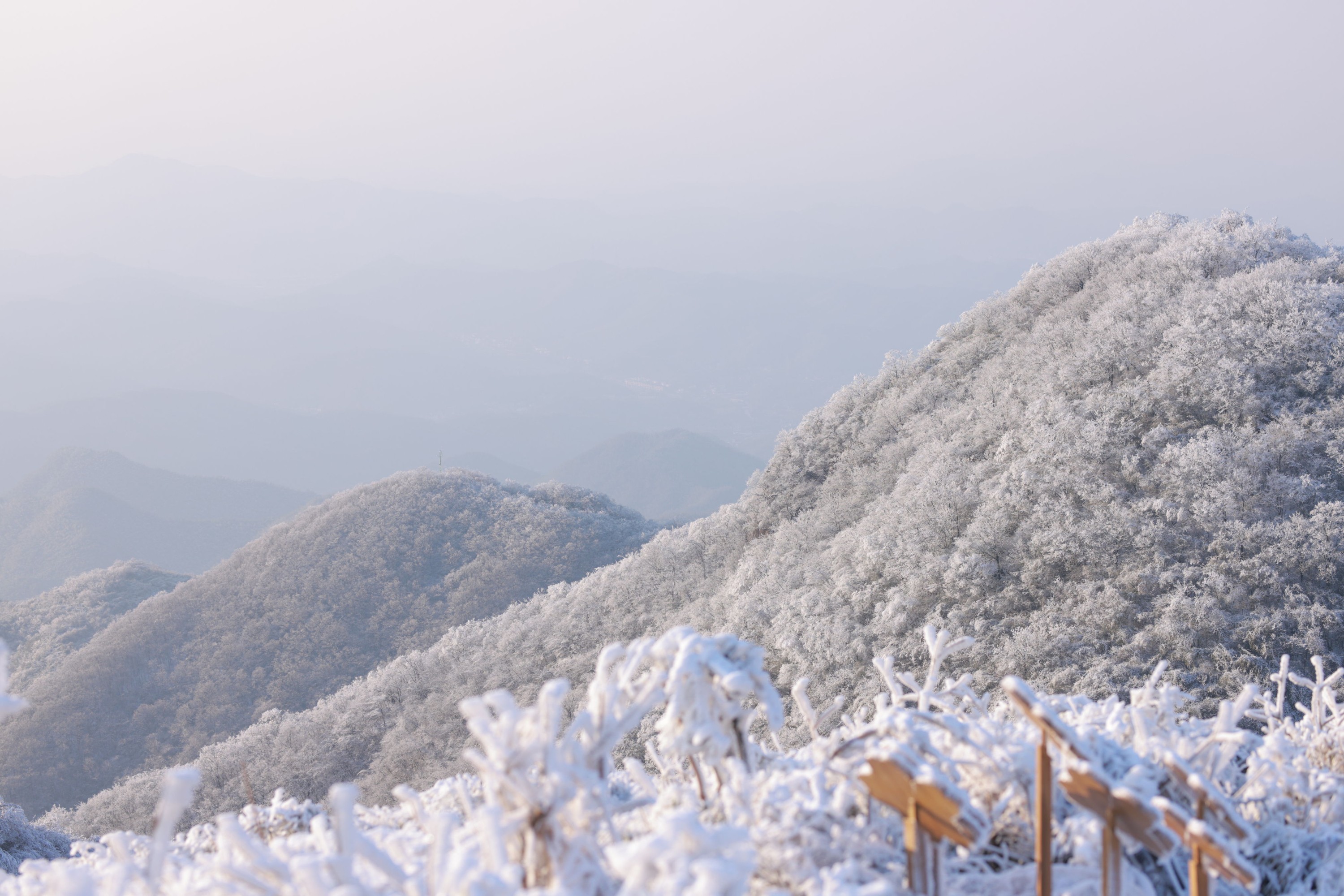 图片[8] - 有耳阿郁 庄翰_Roya - 《风雪千山》[20P] - 机器猫次元 - 机器猫次元