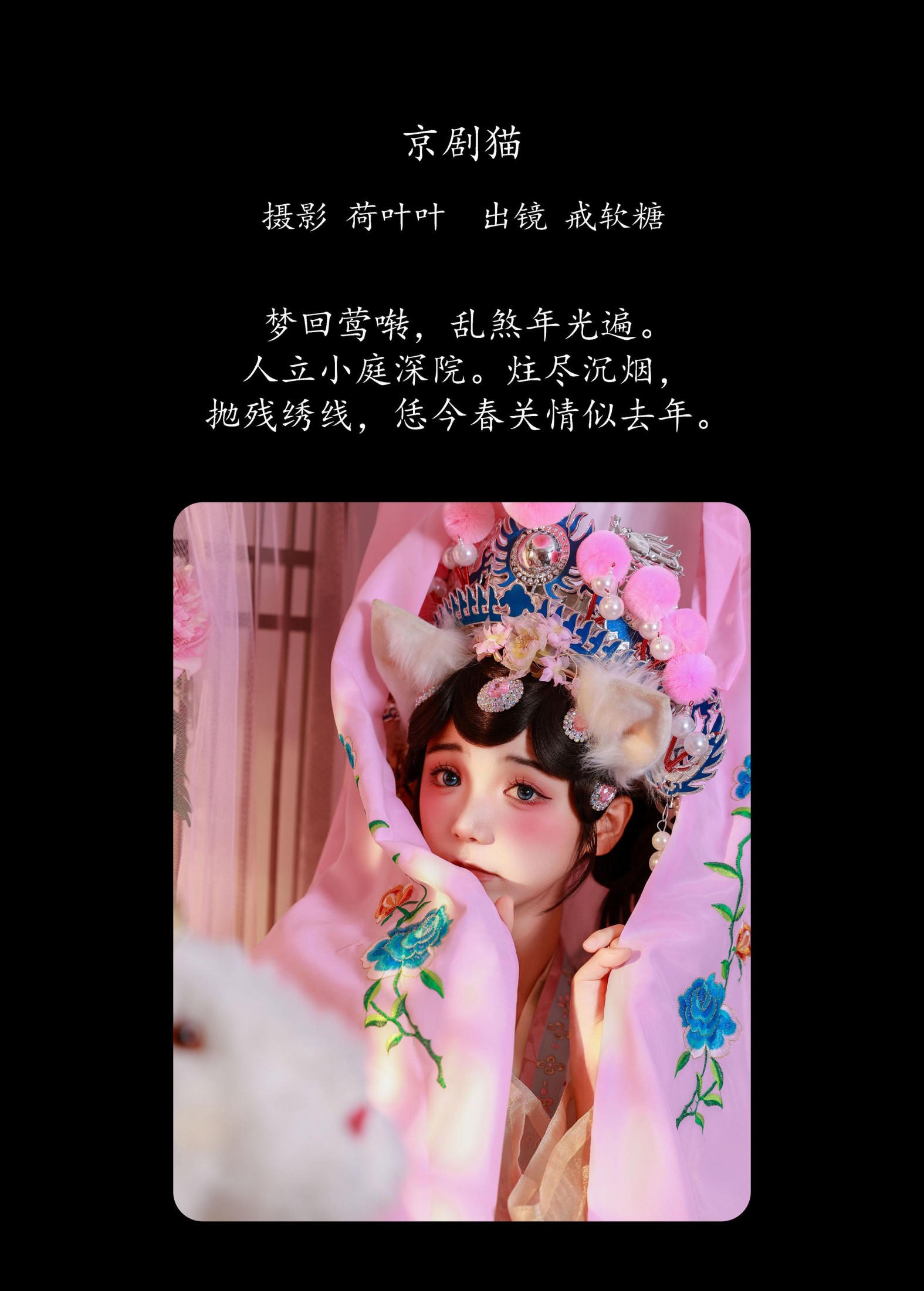 图片[2] - 戒软糖 - 《京剧猫》[22P] - 机器猫次元 - 机器猫次元