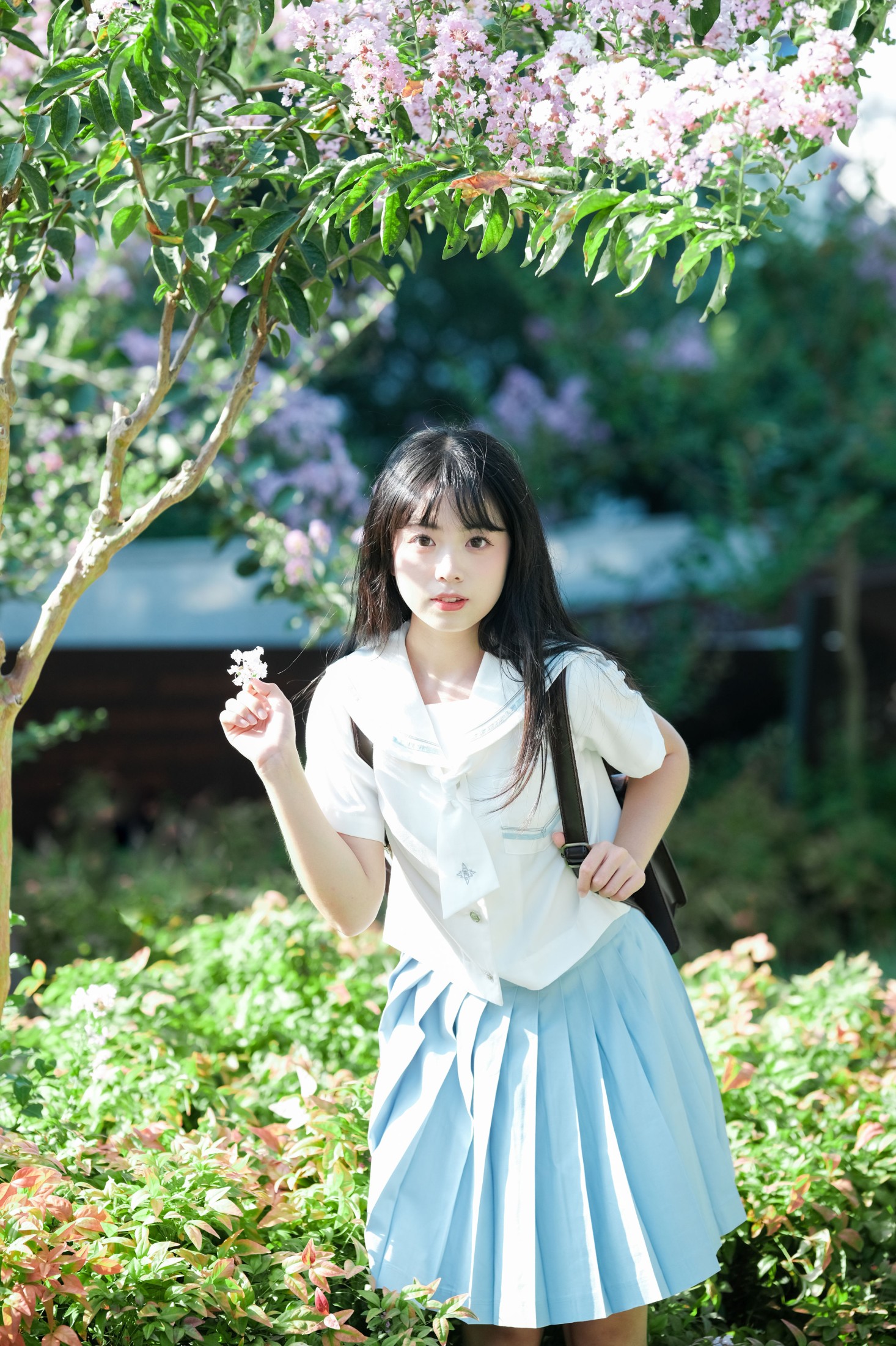图片[7] - 一只暖暖 - 《那棵树》[30P] - 机器猫次元 - 机器猫次元