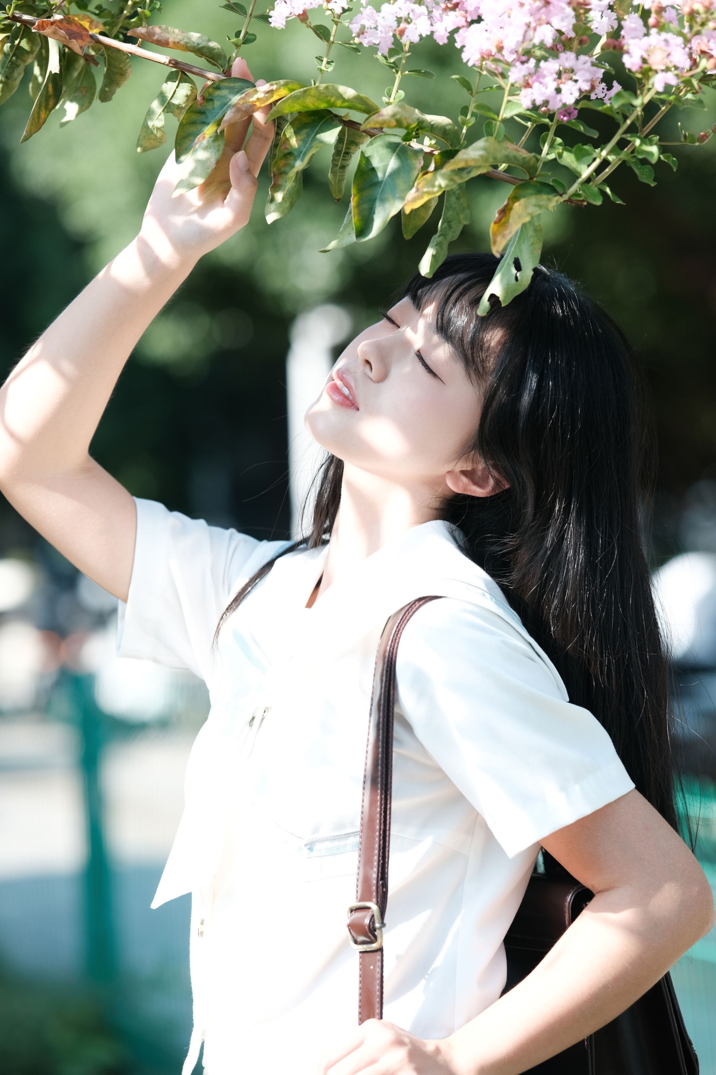 图片[4] - 一只暖暖 - 《那棵树》[30P] - 机器猫次元 - 机器猫次元